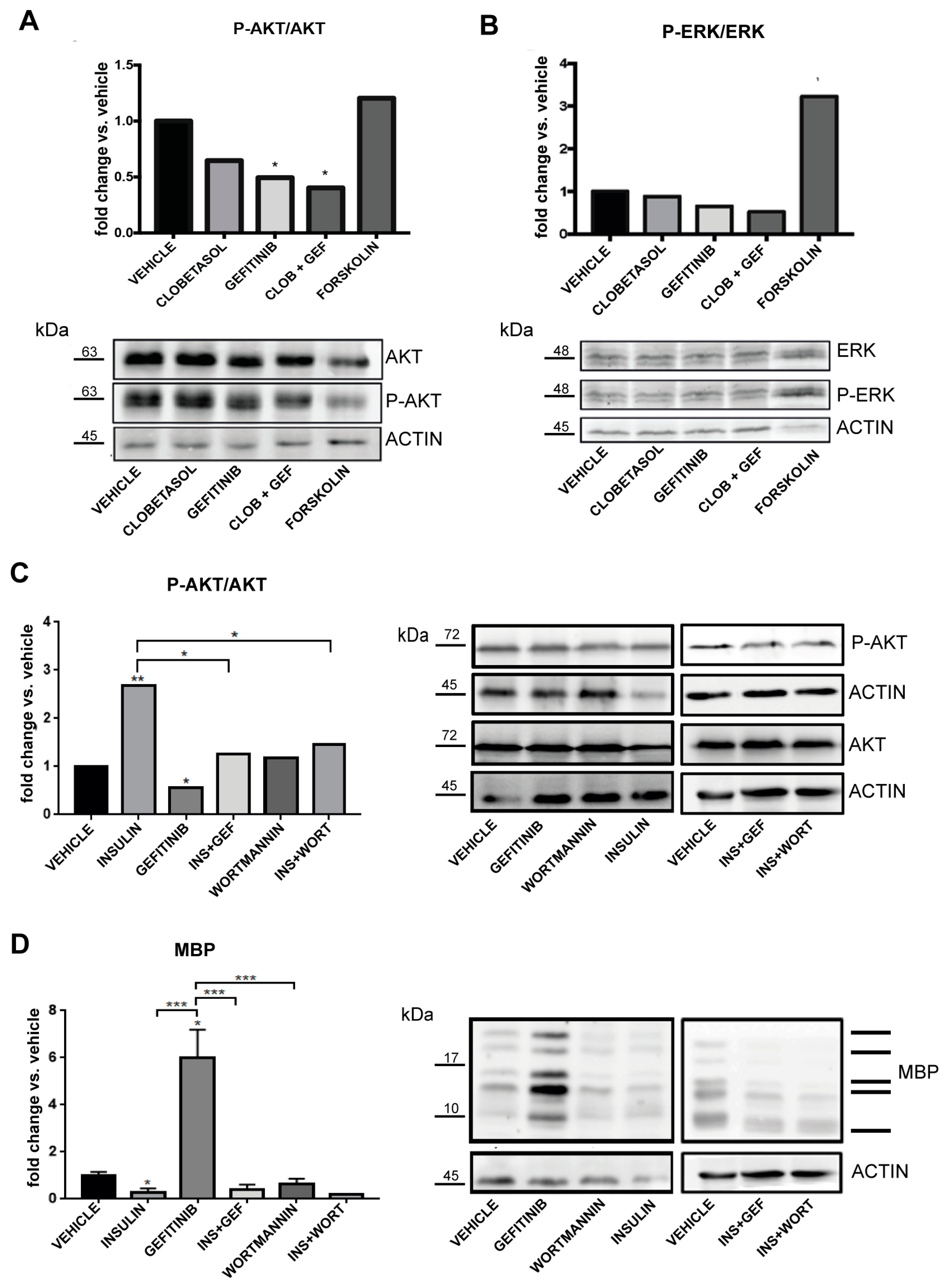 Cells 08 00844 g004 Cells 08 00844 g004
