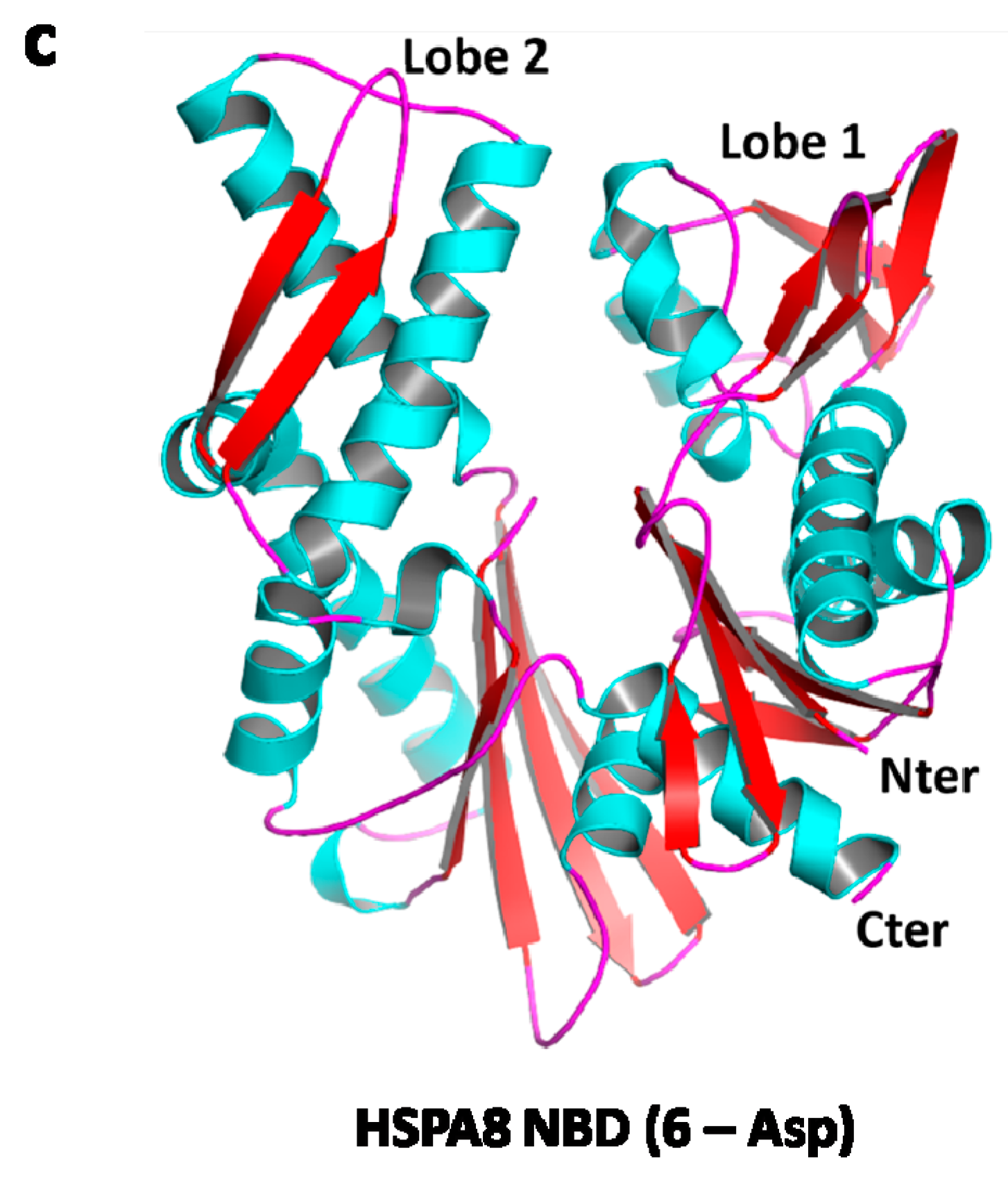 Cells 08 00849 g002b