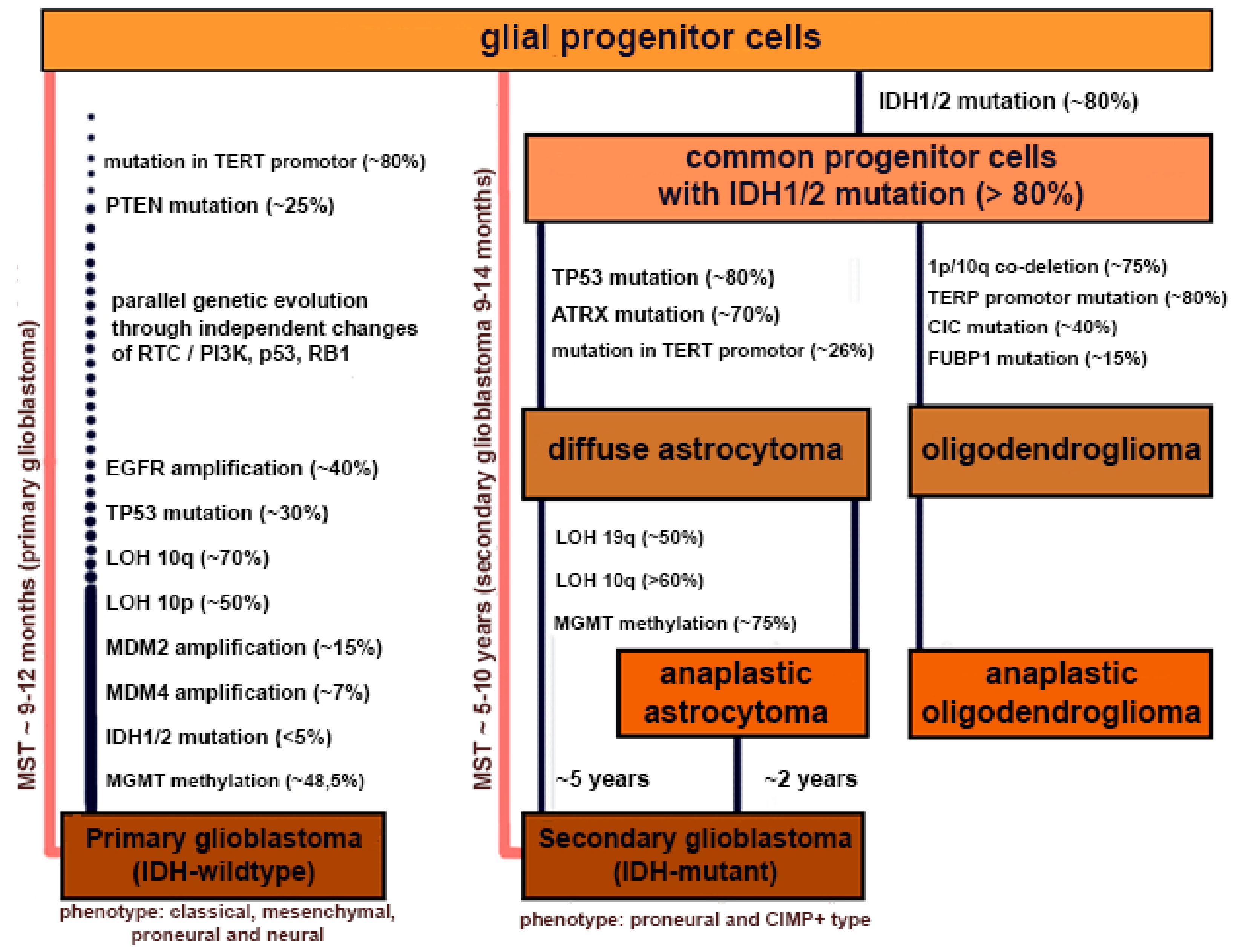 Cells, Free Full-Text