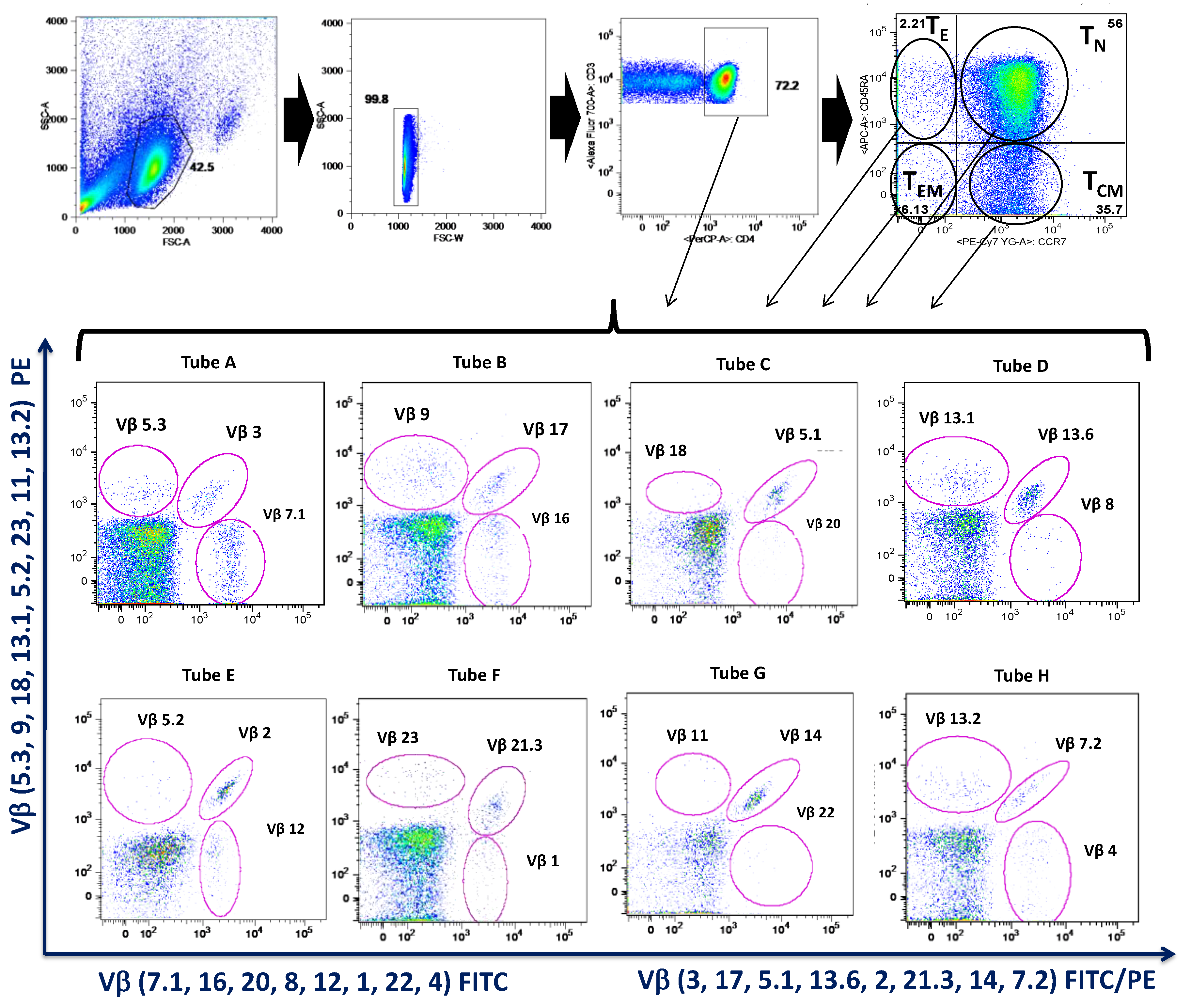 Cells 08 00871 g001