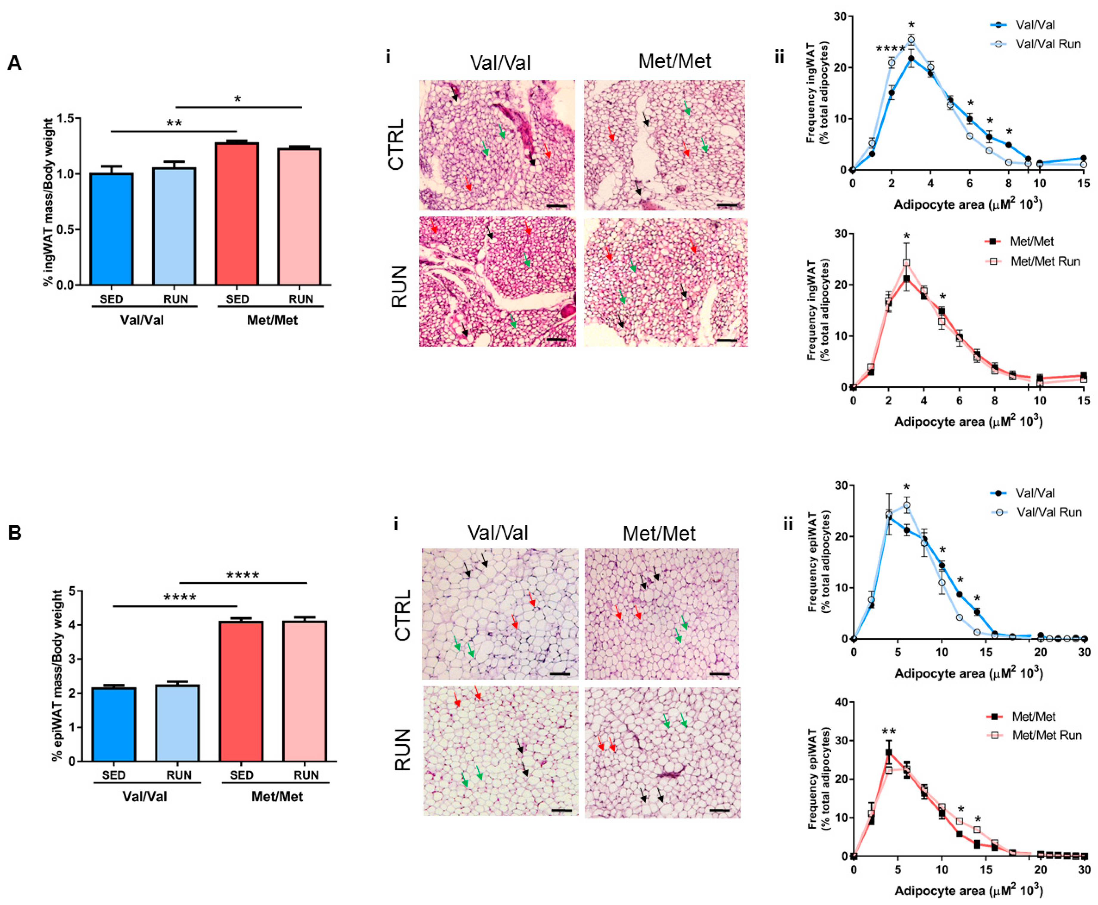 Cells 08 00875 g004