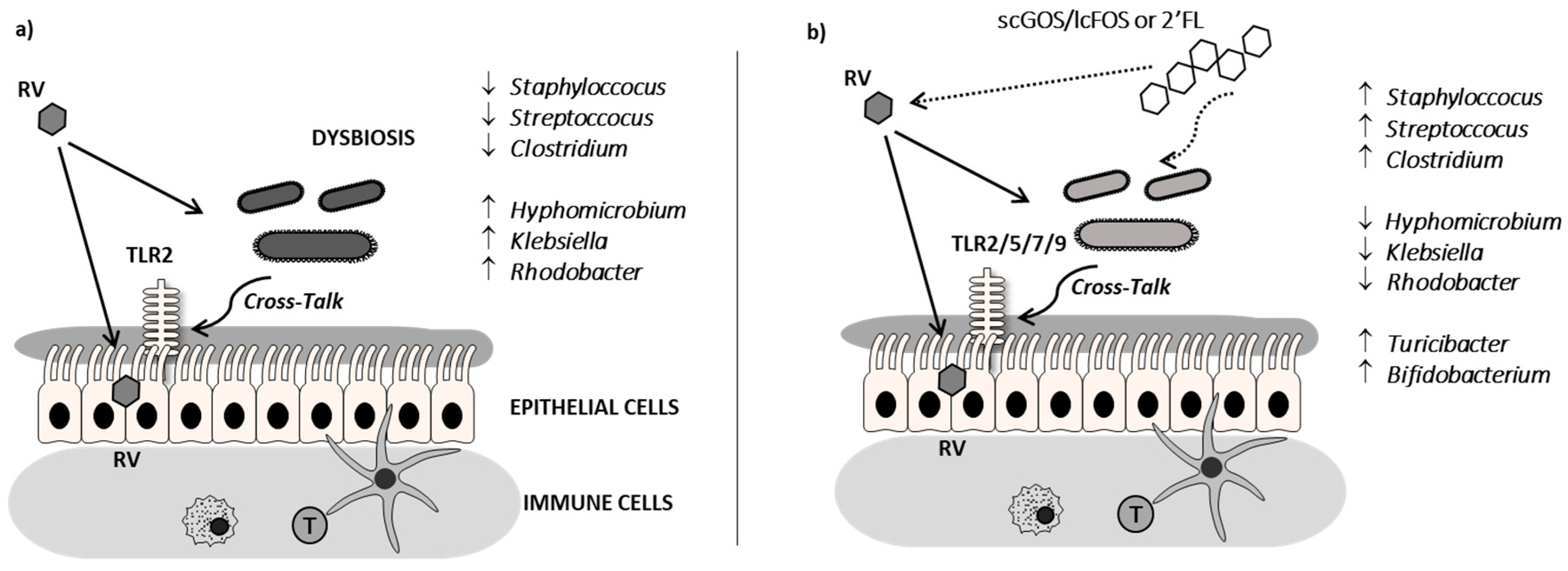 Cells 08 00876 g007