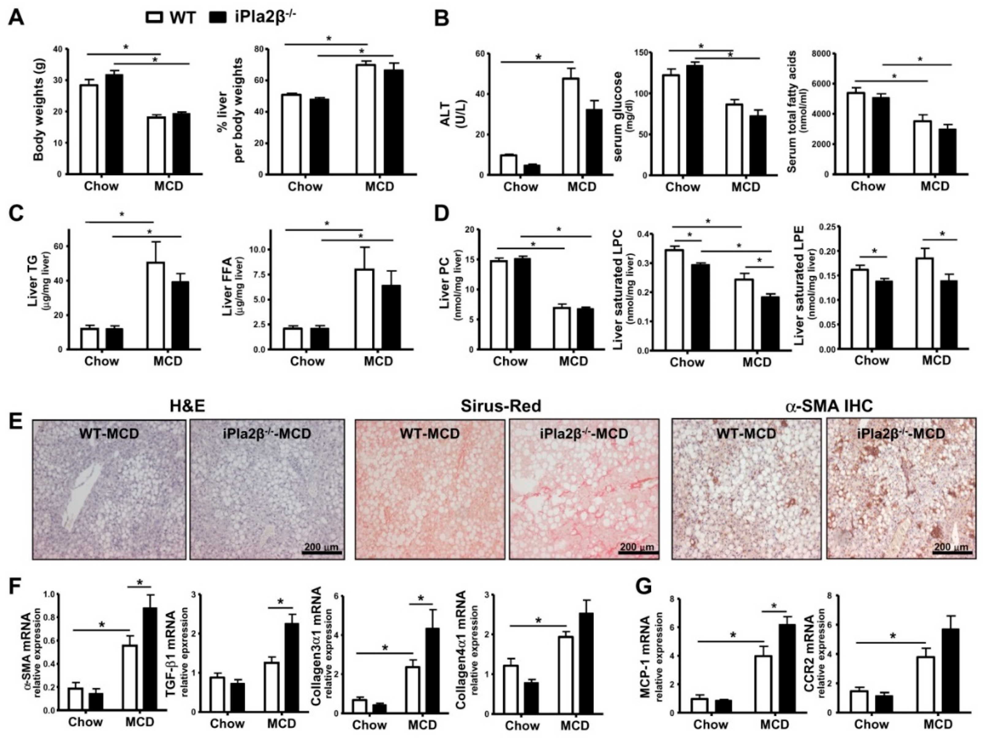 Cells 08 00879 g001 Cells 08 00879 g001
