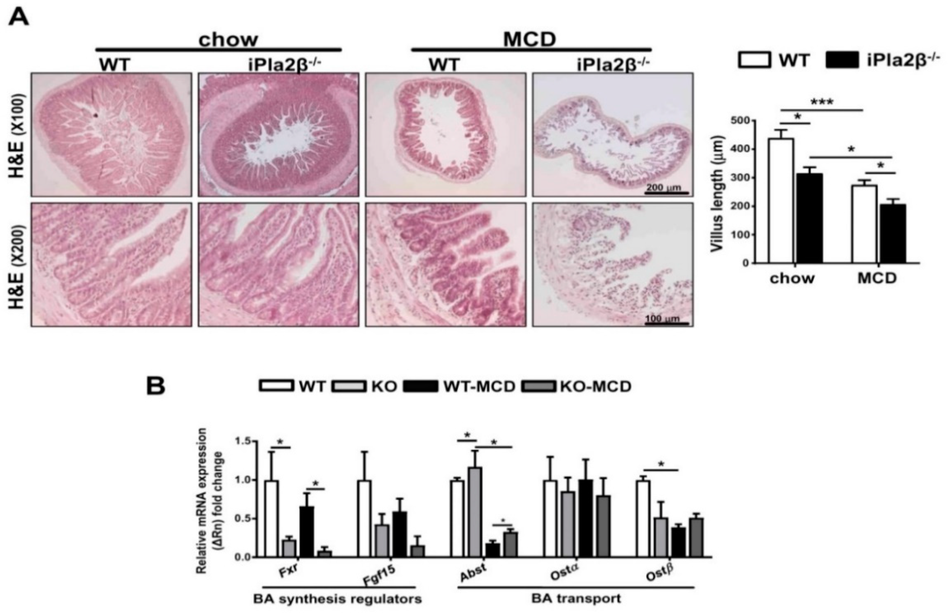 Cells 08 00879 g005 Cells 08 00879 g005