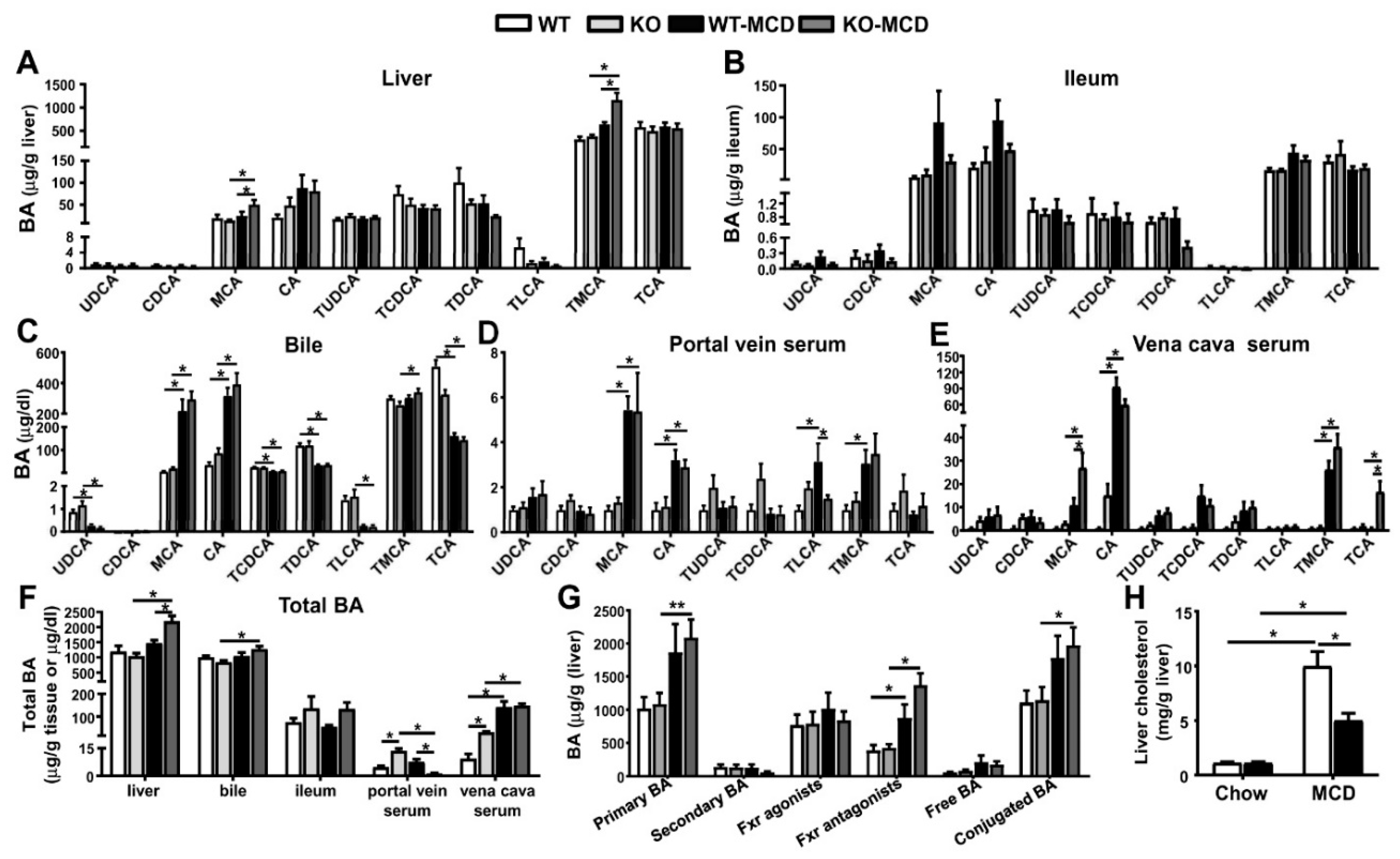 Cells 08 00879 g006 Cells 08 00879 g006