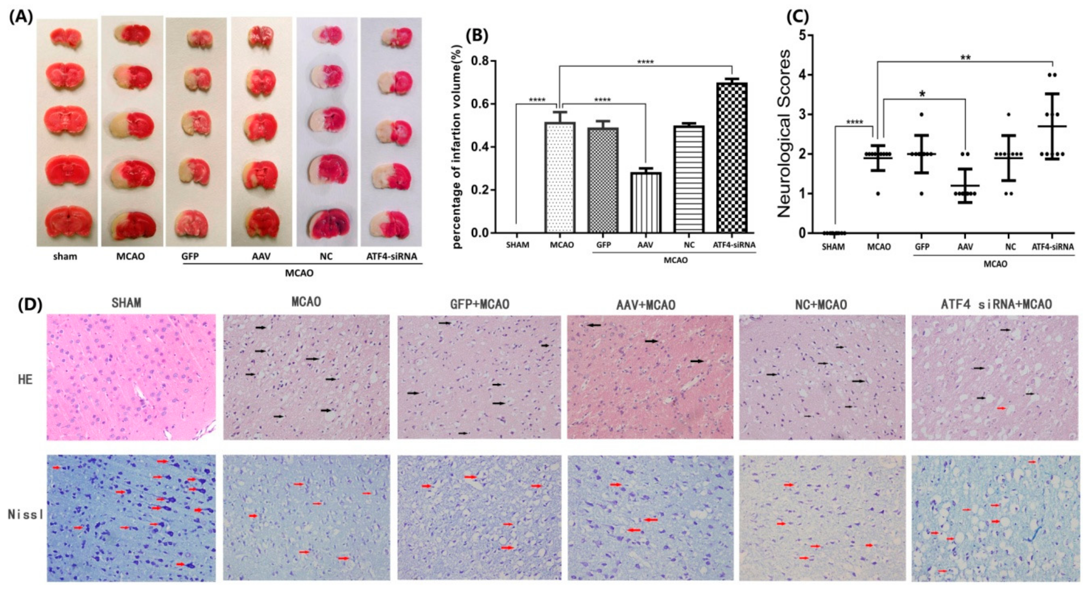Cells 08 00897 g001 Cells 08 00897 g001