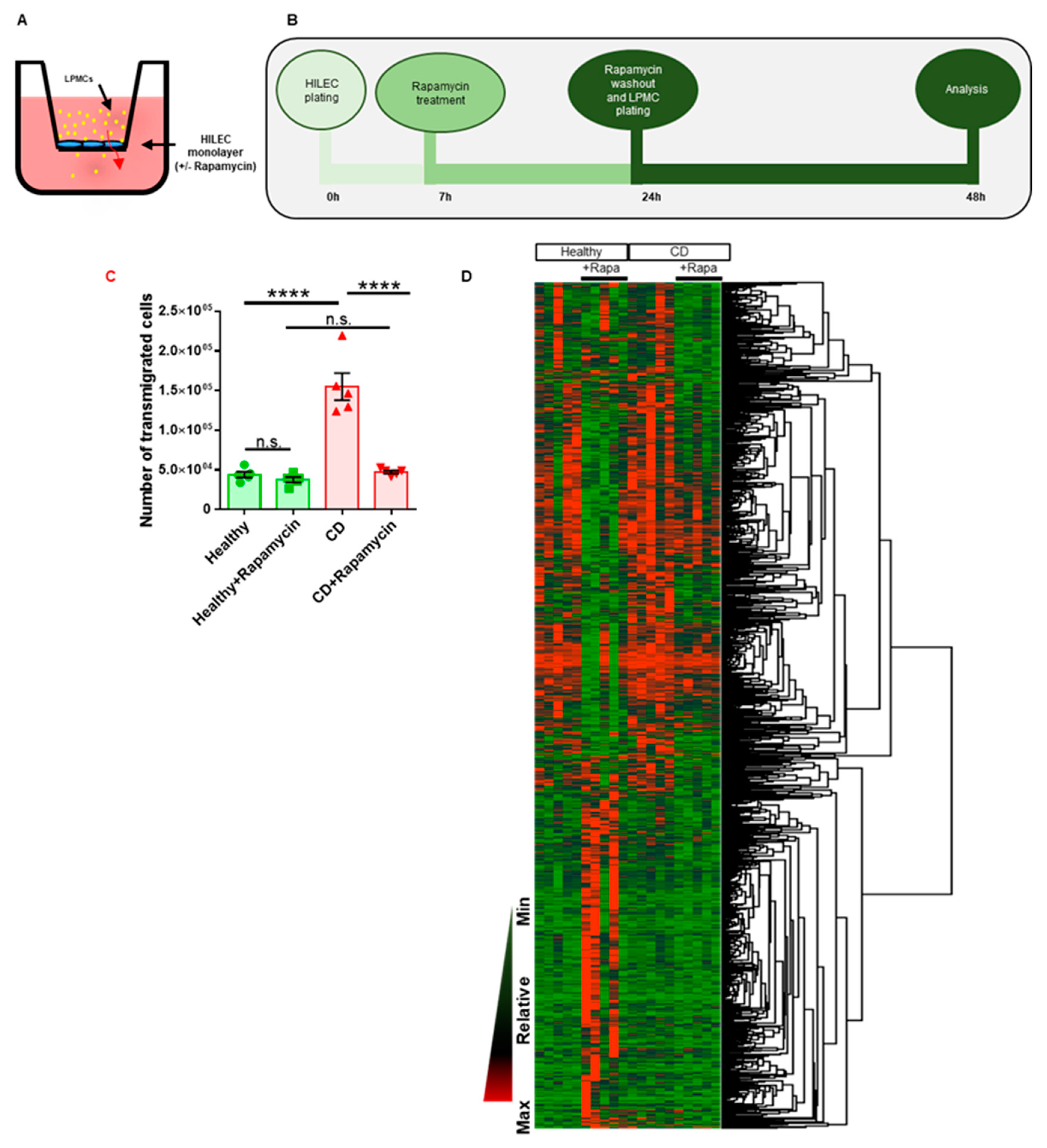 Cells 08 00924 g002
