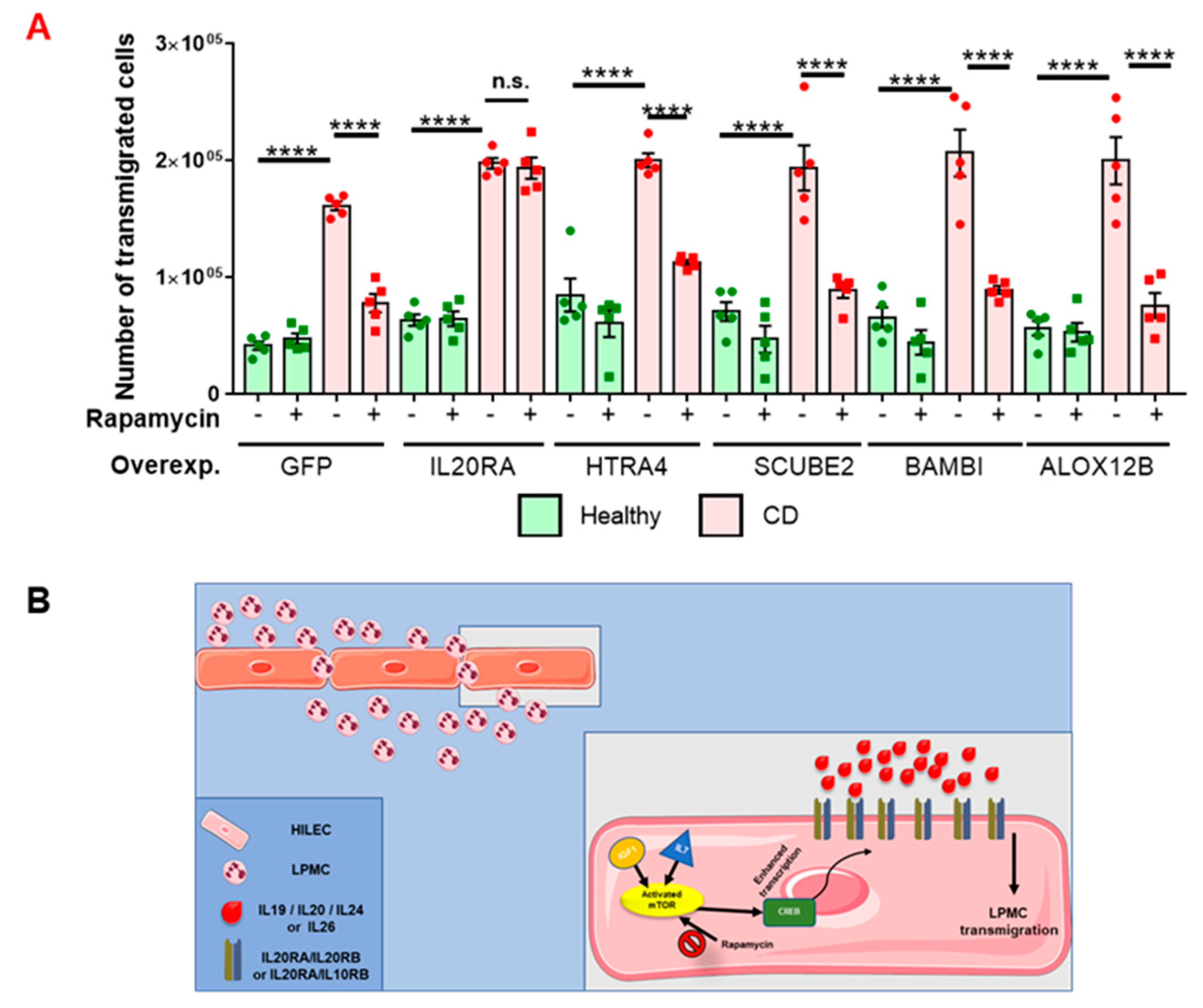 Cells 08 00924 g004