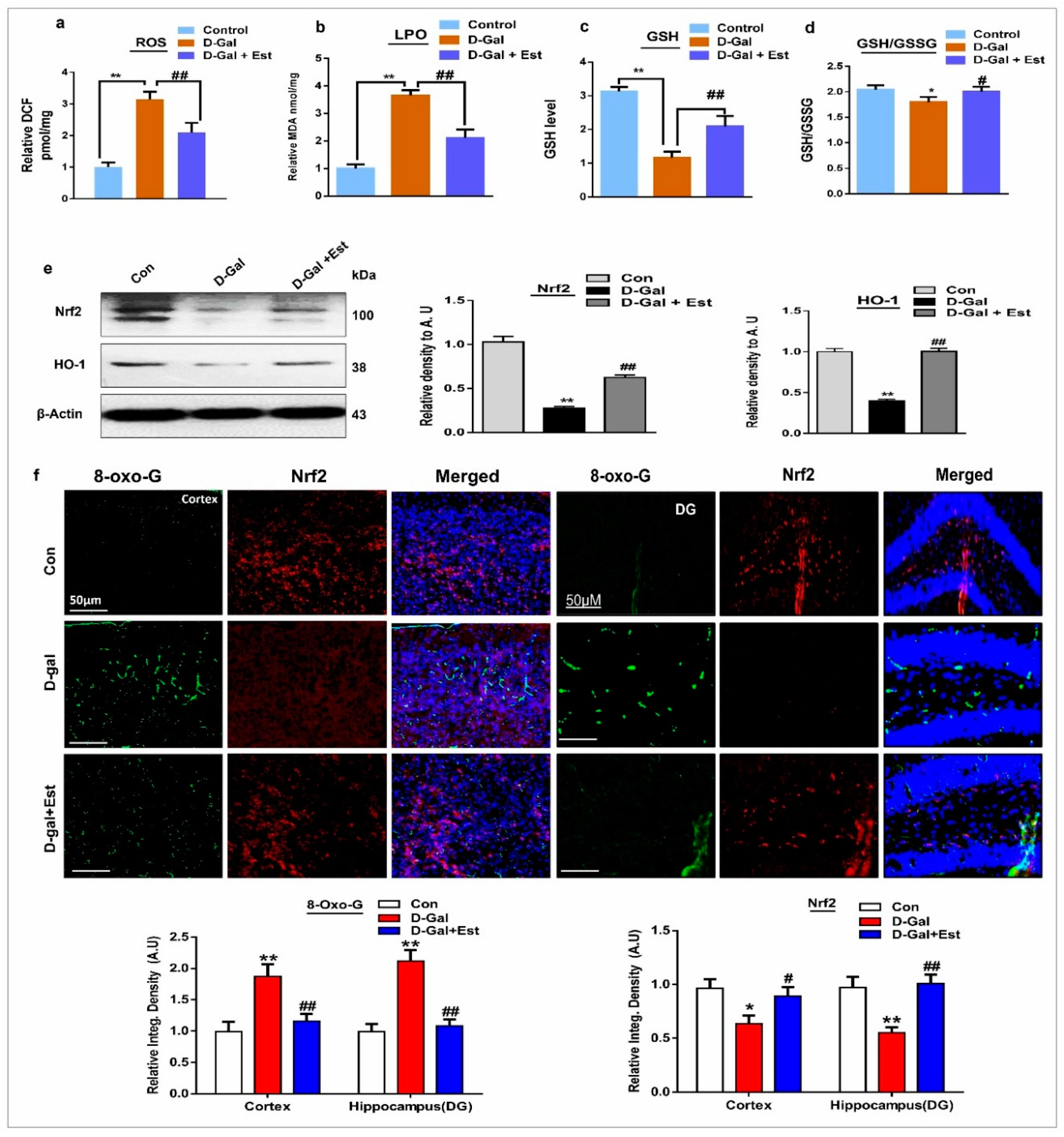 Cells 08 00928 g001