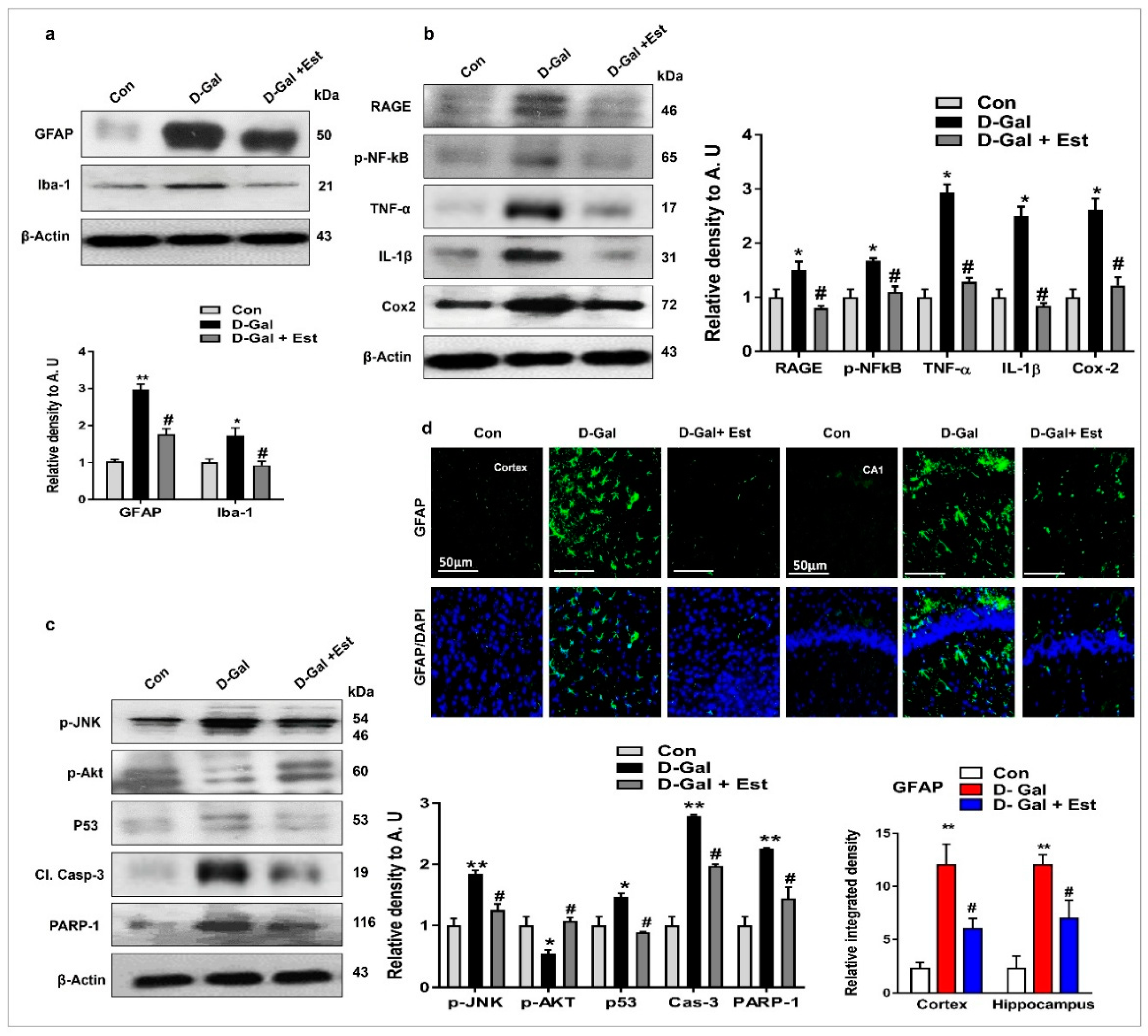 Cells 08 00928 g002