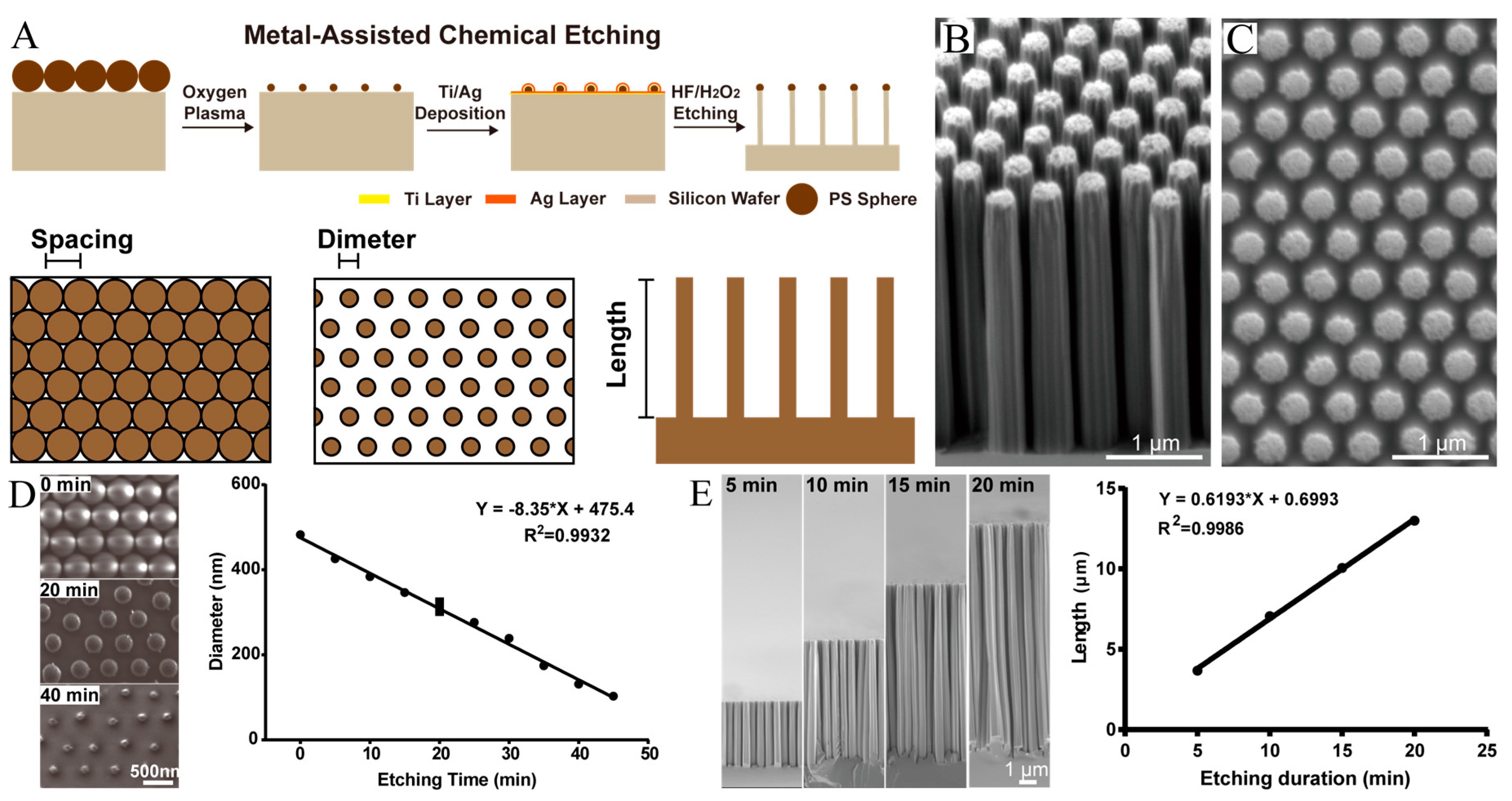 Cells 08 00931 g001 Cells 08 00931 g001