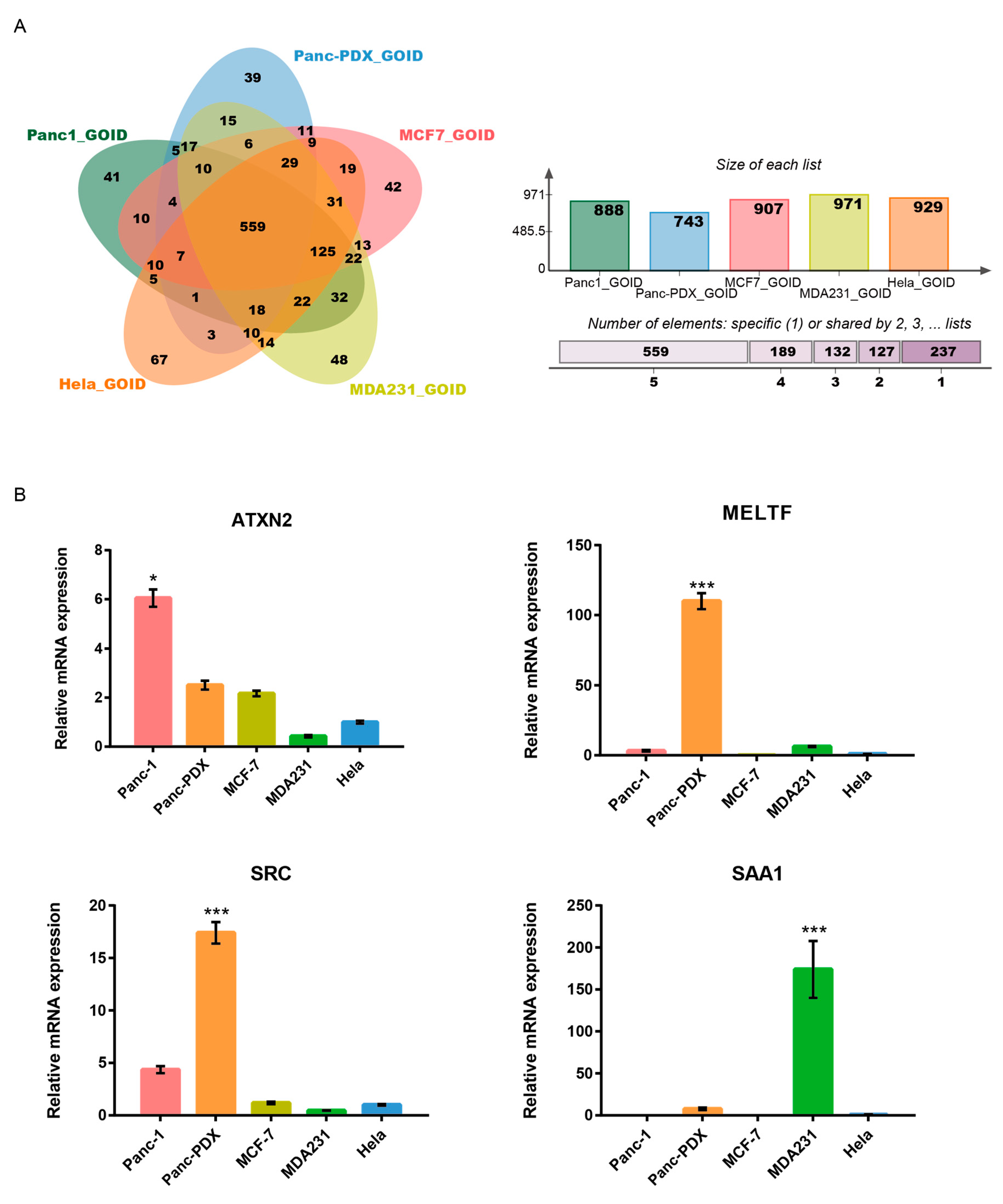 Cells 08 00931 g007 Cells 08 00931 g007