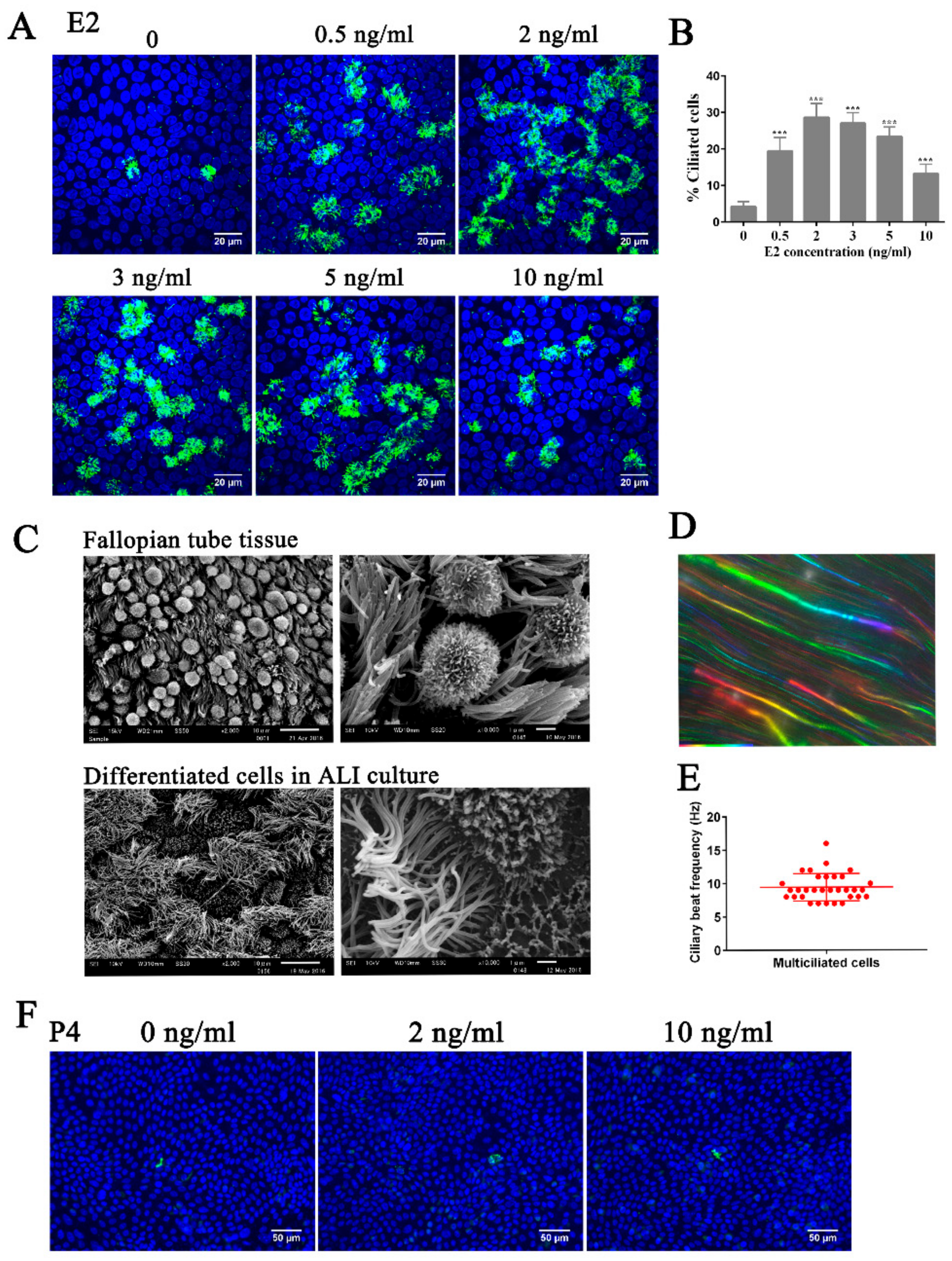 Cells 08 00933 g001 Cells 08 00933 g001