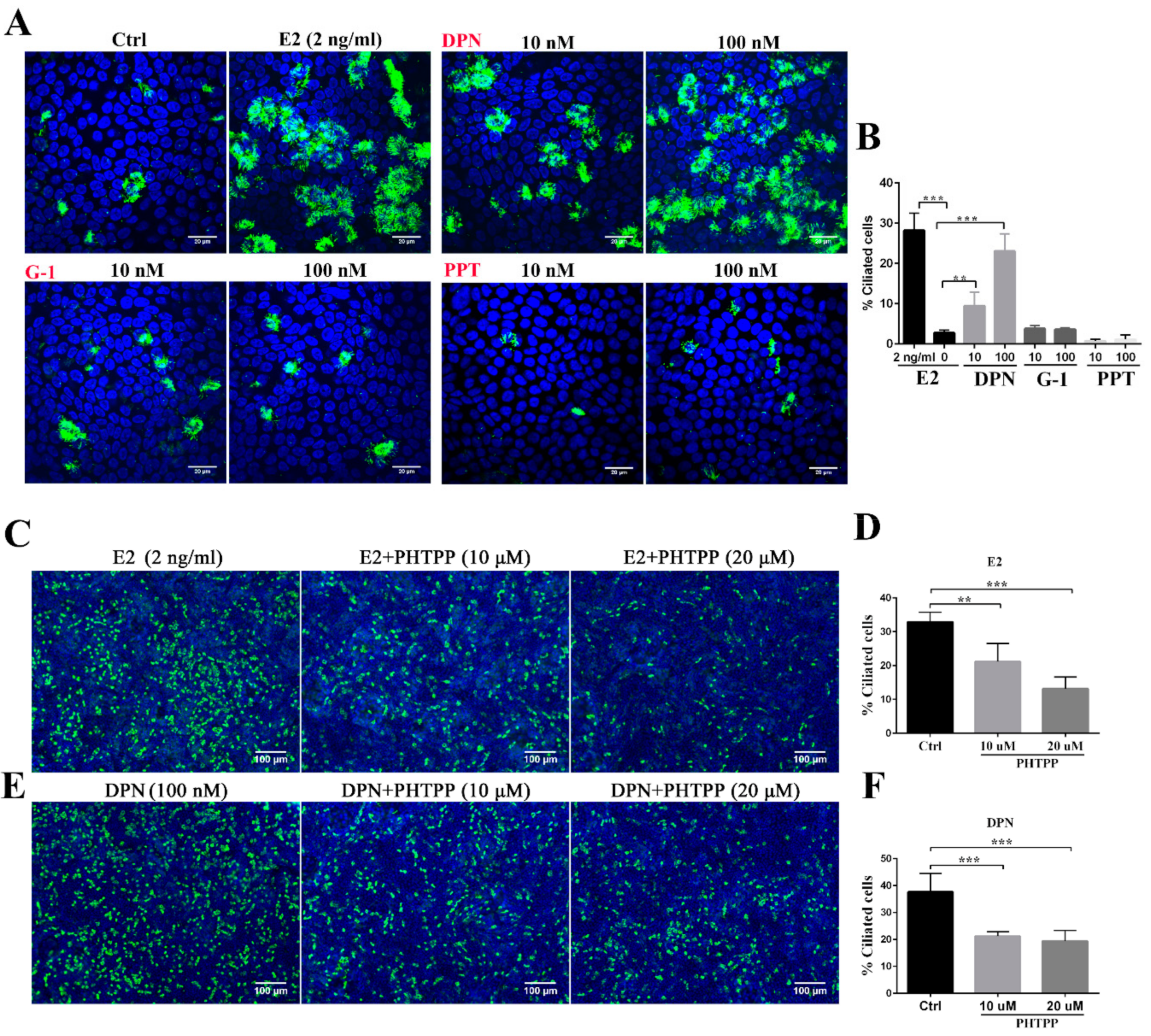 Cells 08 00933 g002 Cells 08 00933 g002