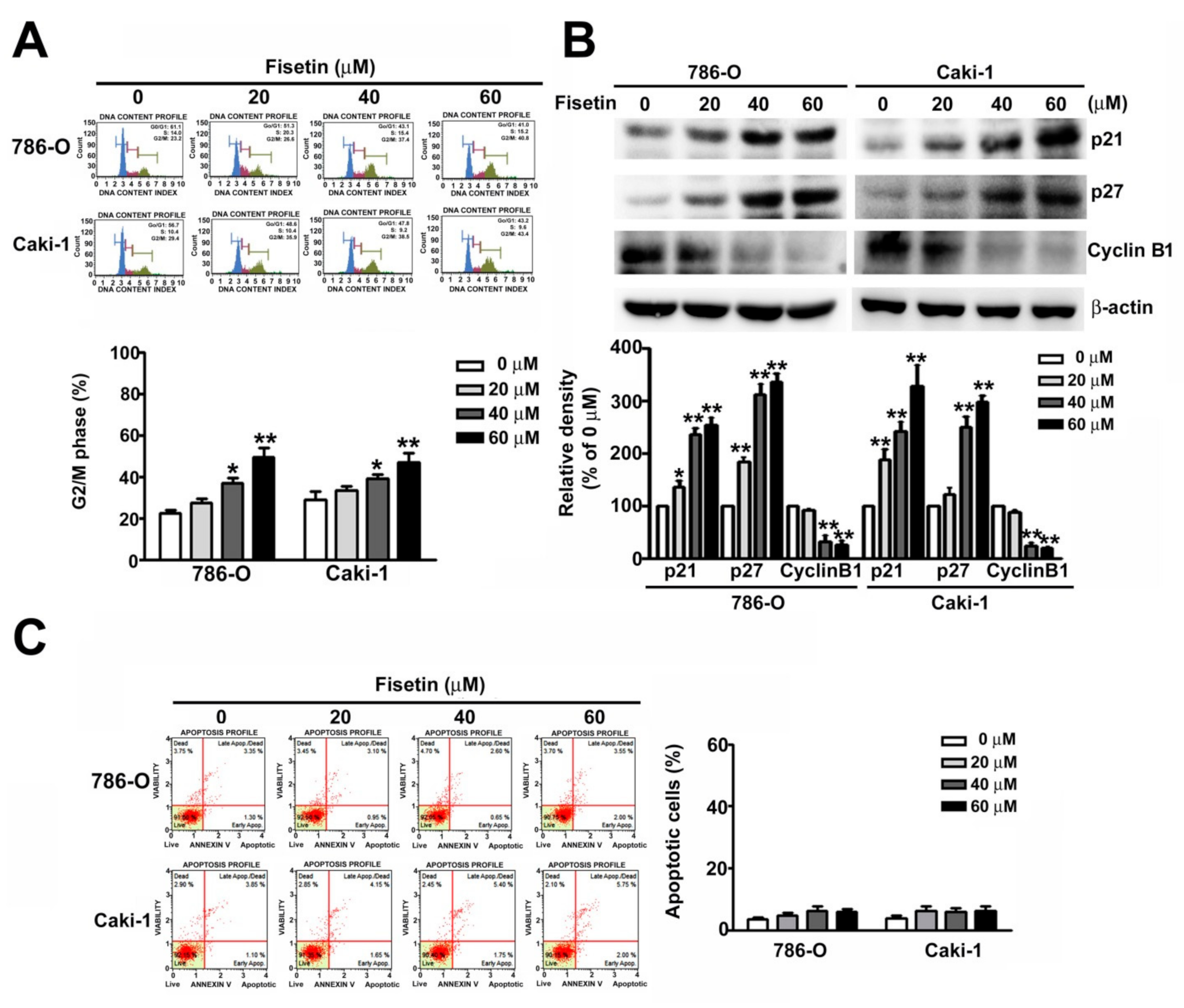 Cells 08 00948 g002