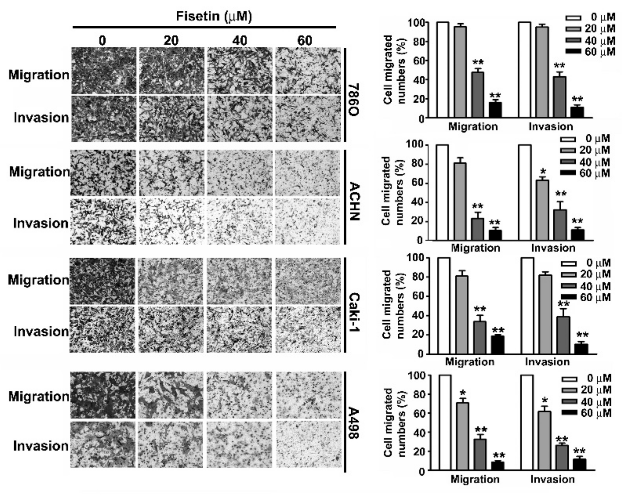 Cells 08 00948 g003