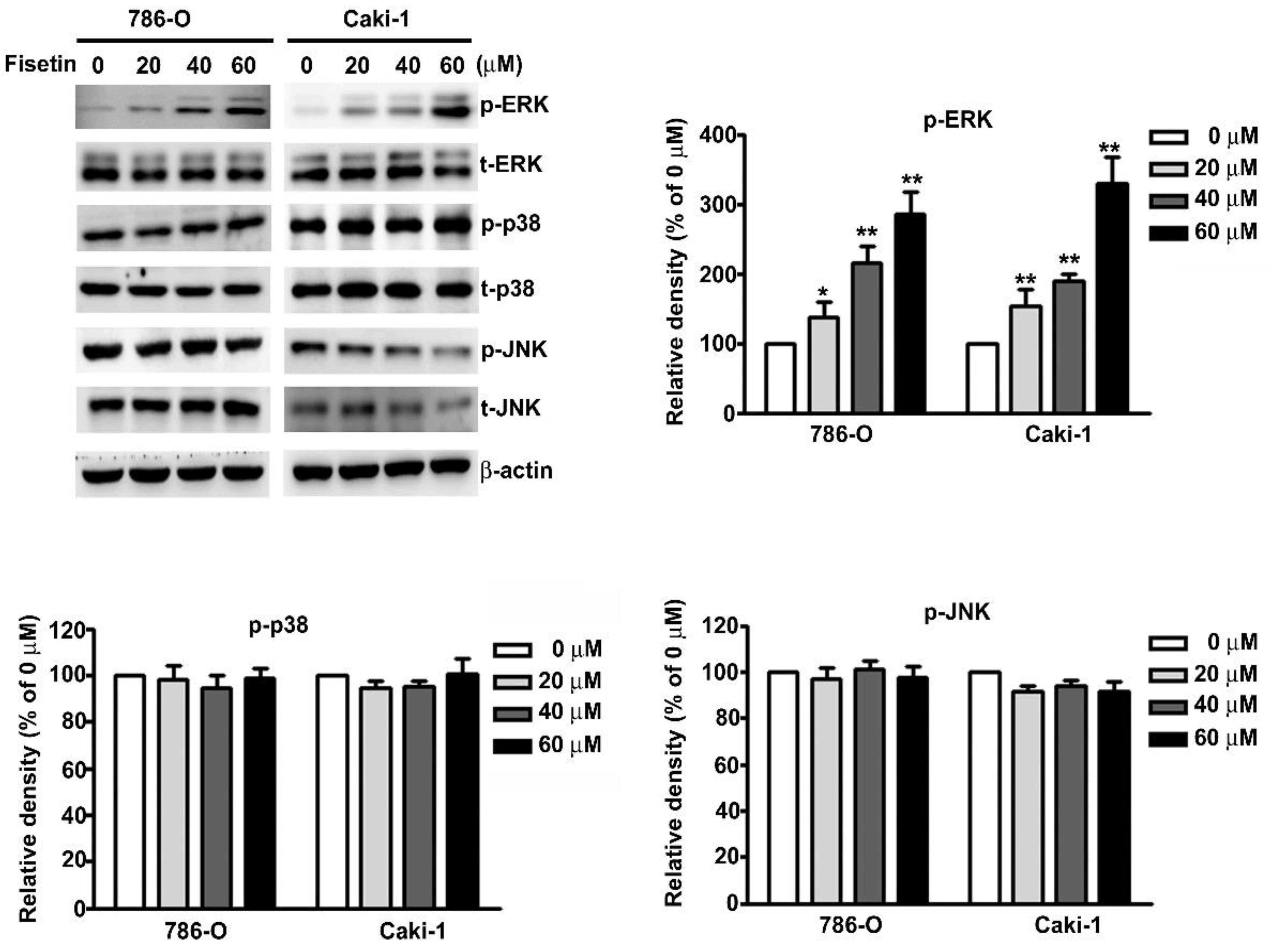 Cells 08 00948 g005