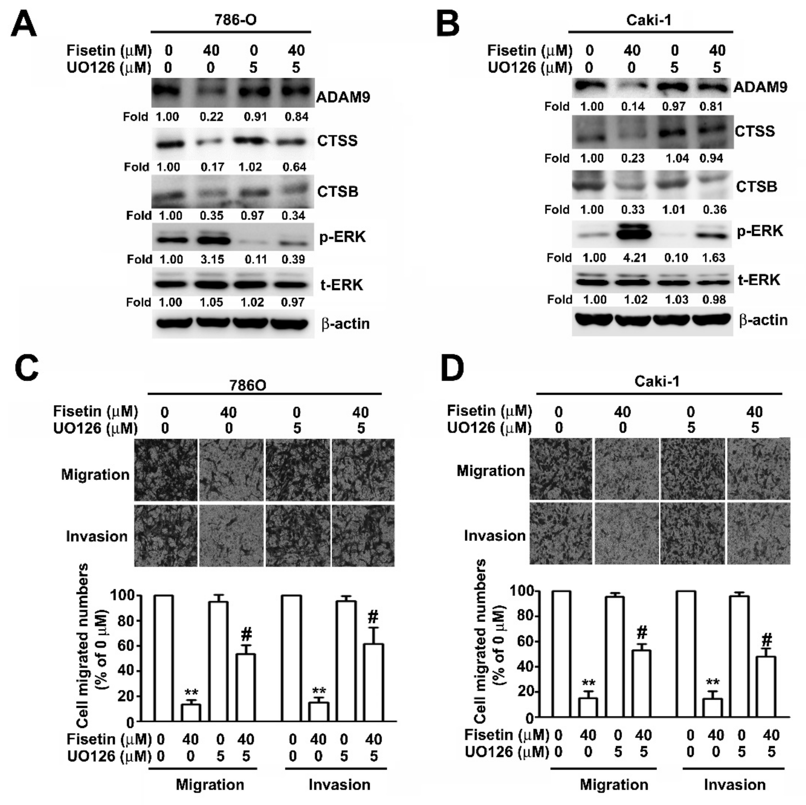 Cells 08 00948 g006