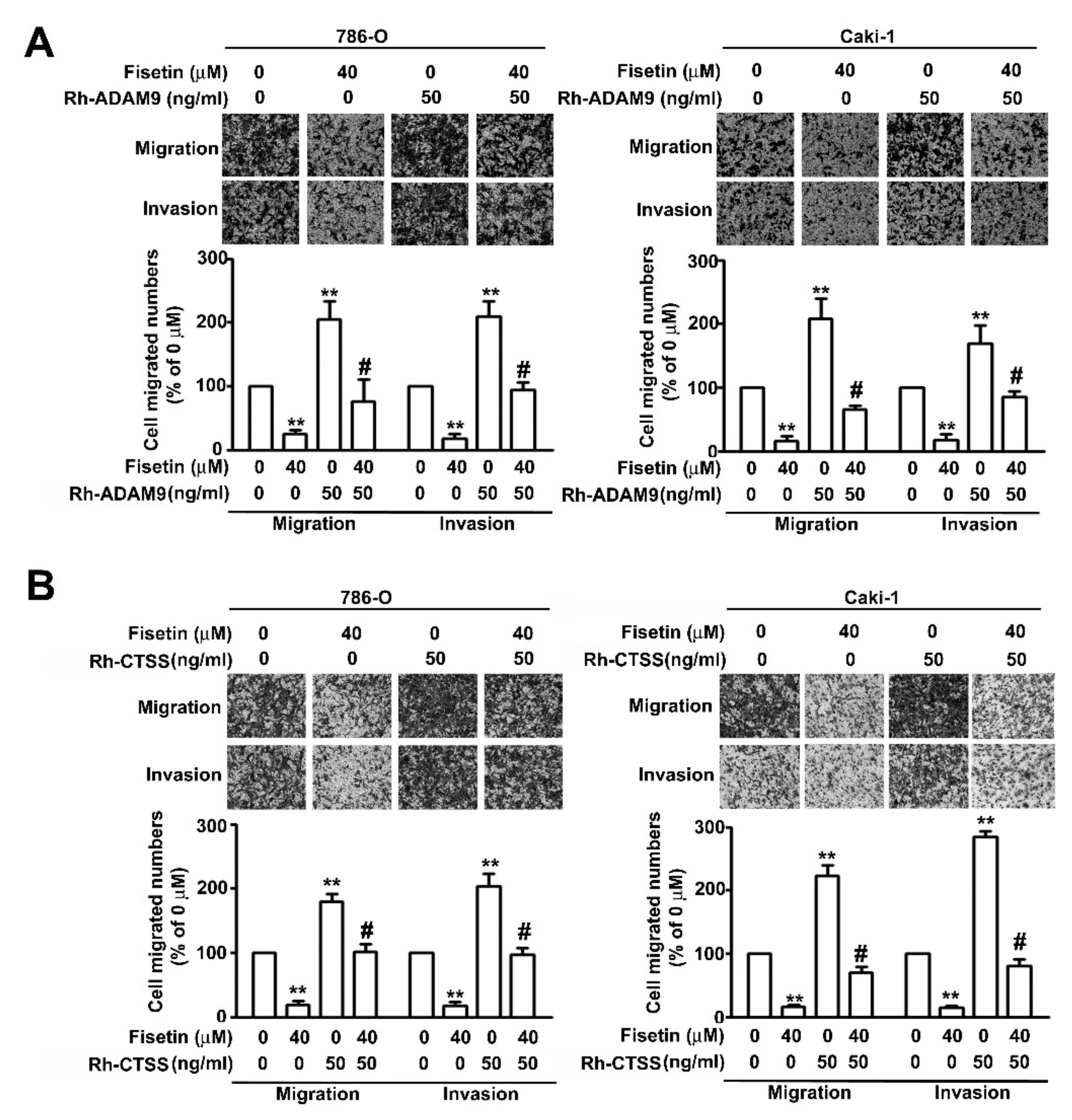 Cells 08 00948 g007