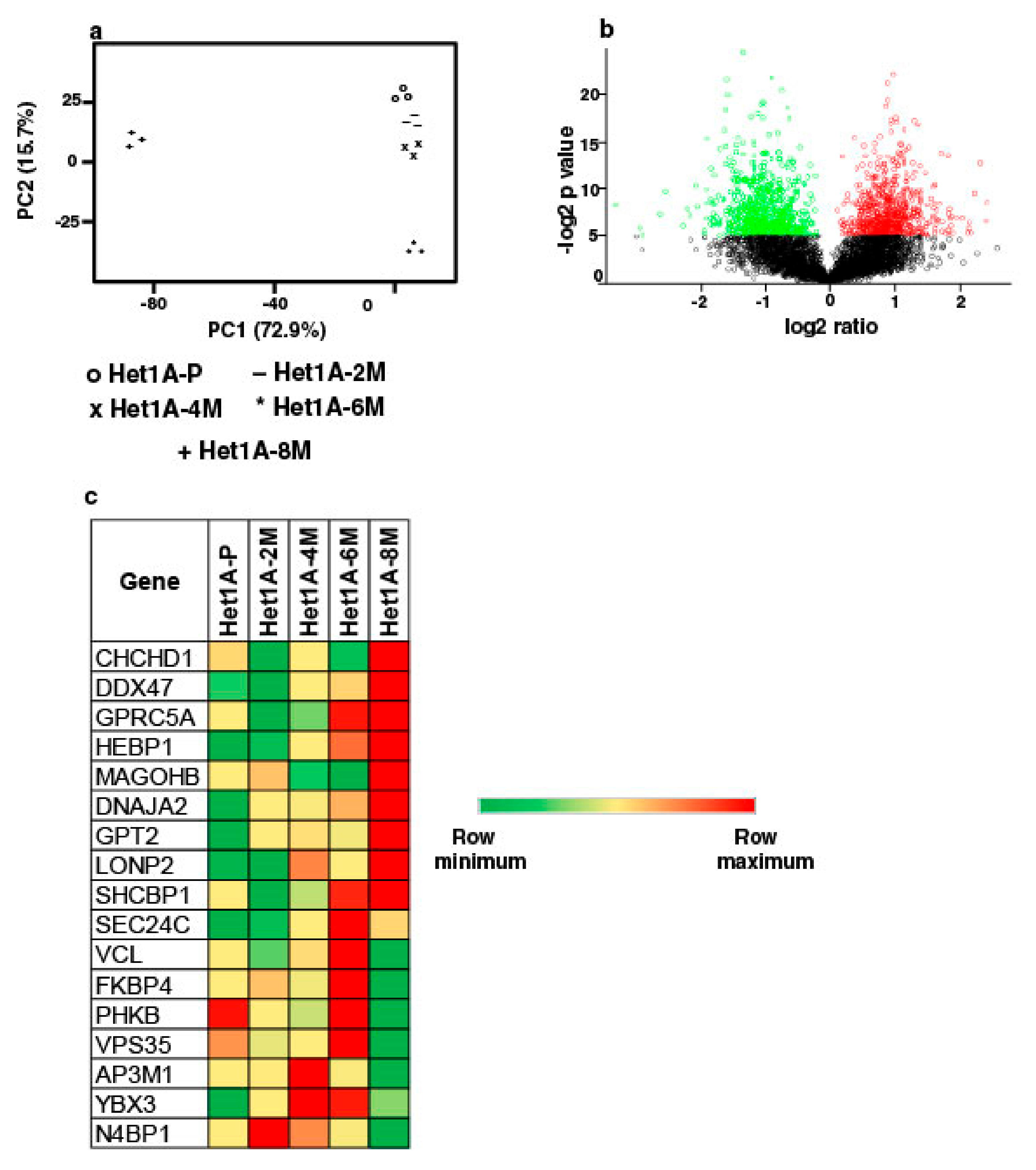 Cells 08 00949 g003