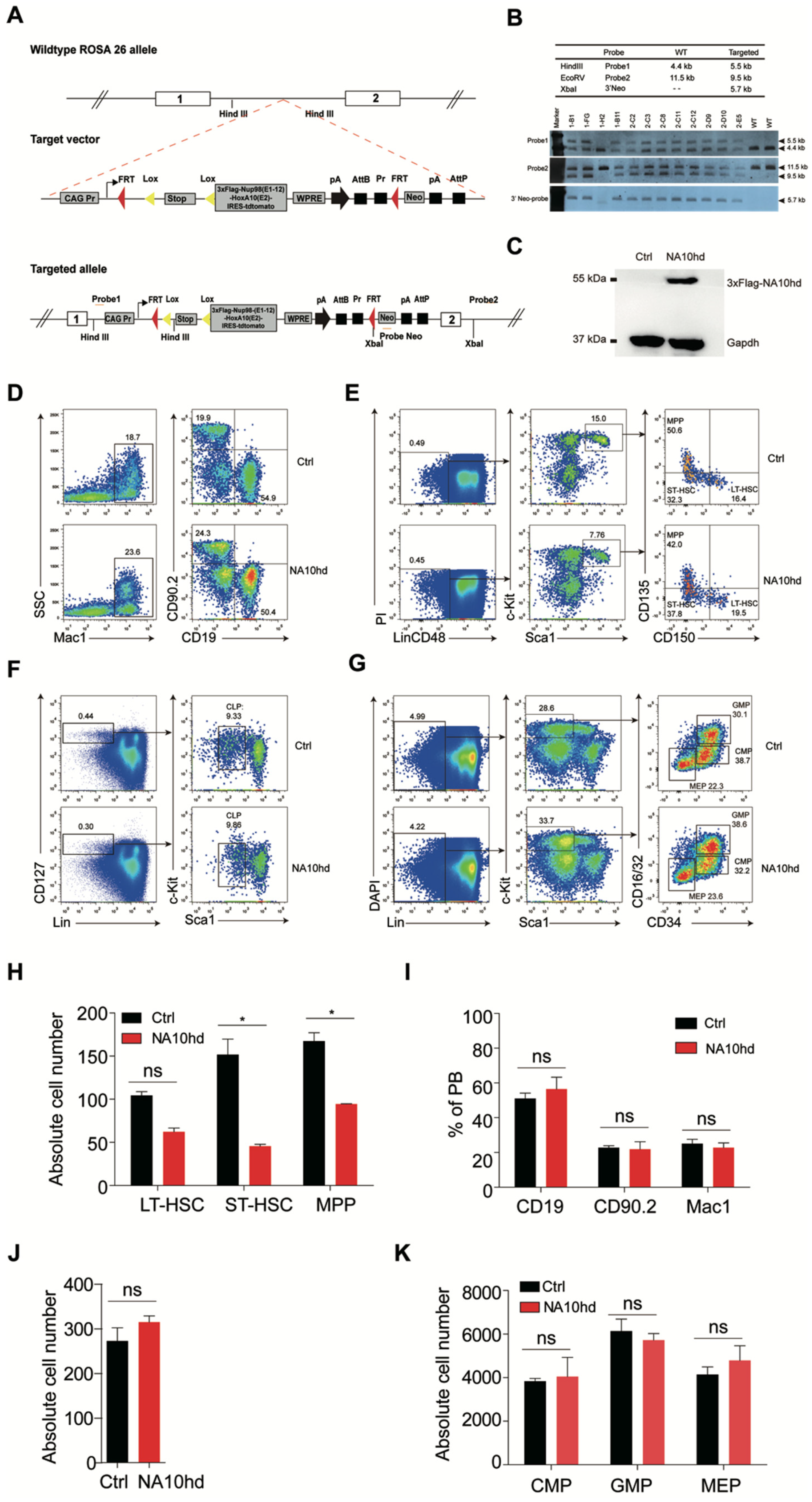 Cells 08 00951 g001 Cells 08 00951 g001