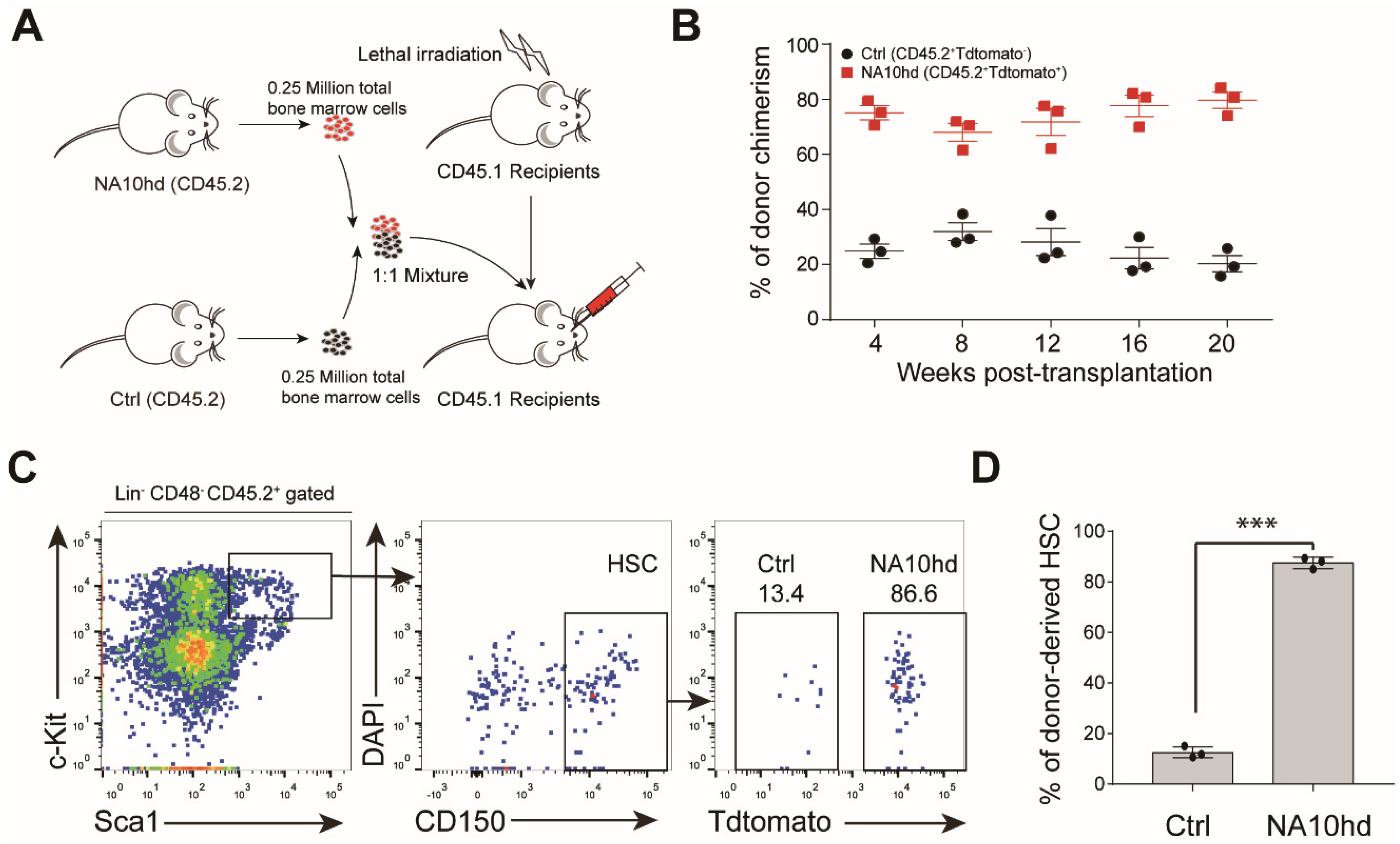 Cells 08 00951 g002 Cells 08 00951 g002