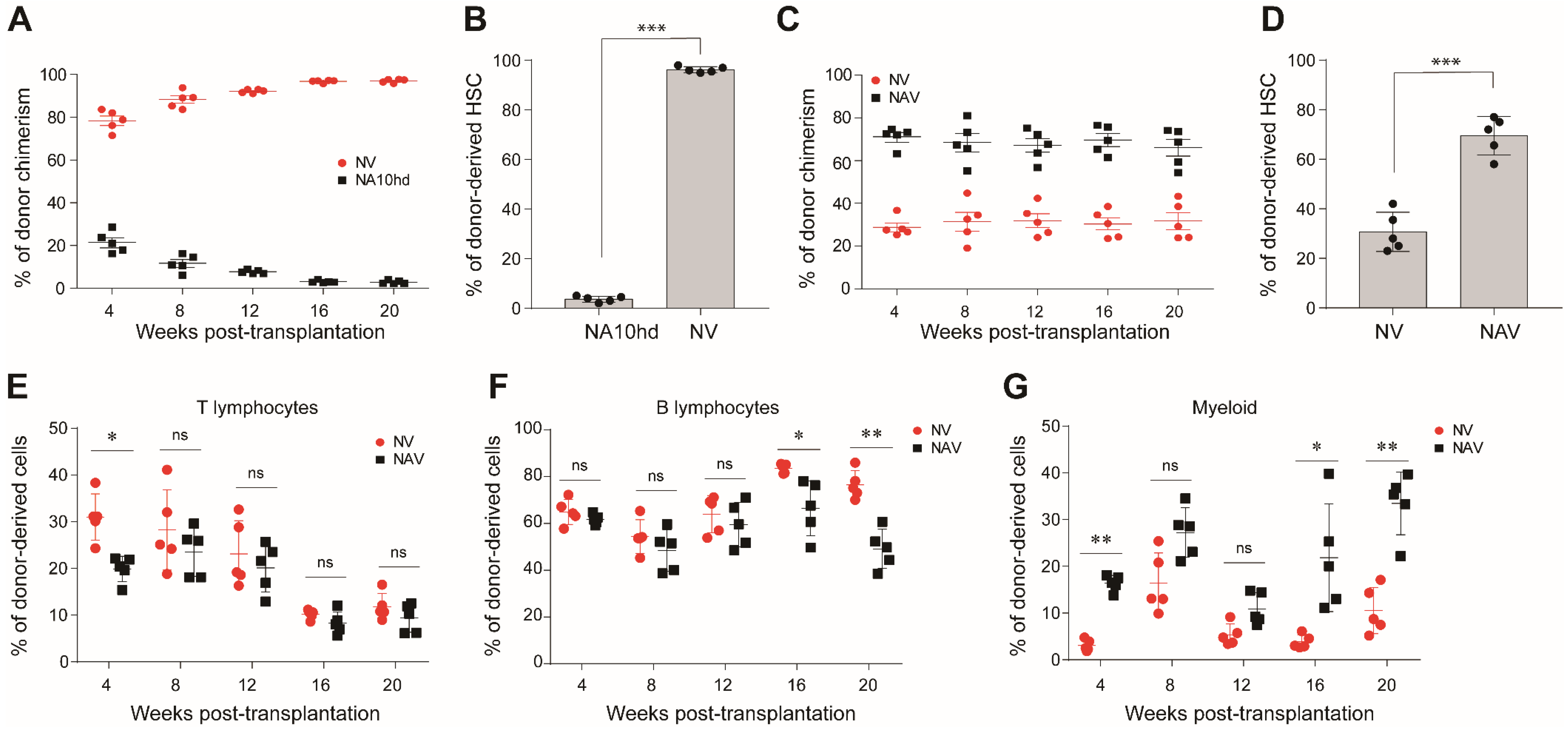 Cells 08 00951 g003 Cells 08 00951 g003