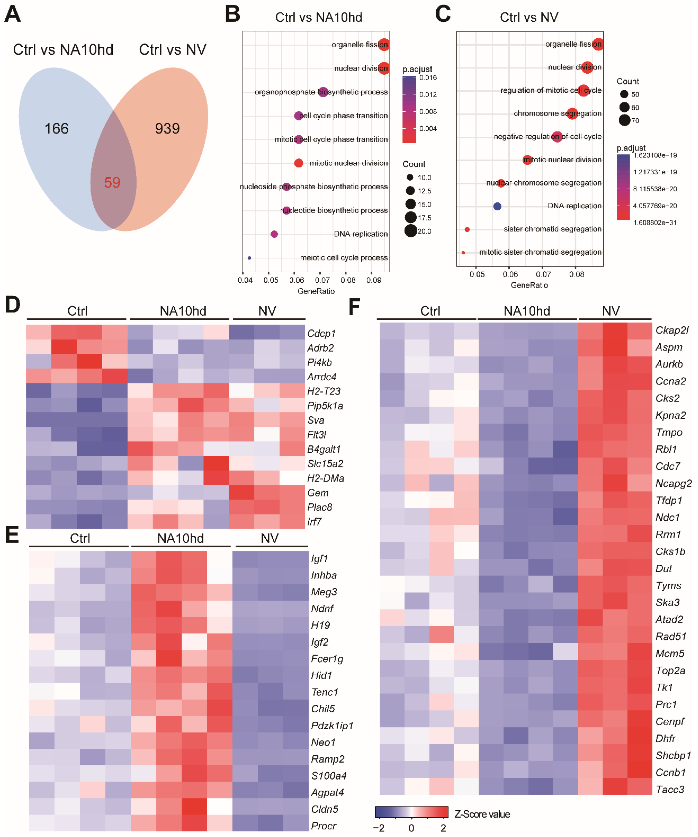 Cells 08 00951 g004 Cells 08 00951 g004