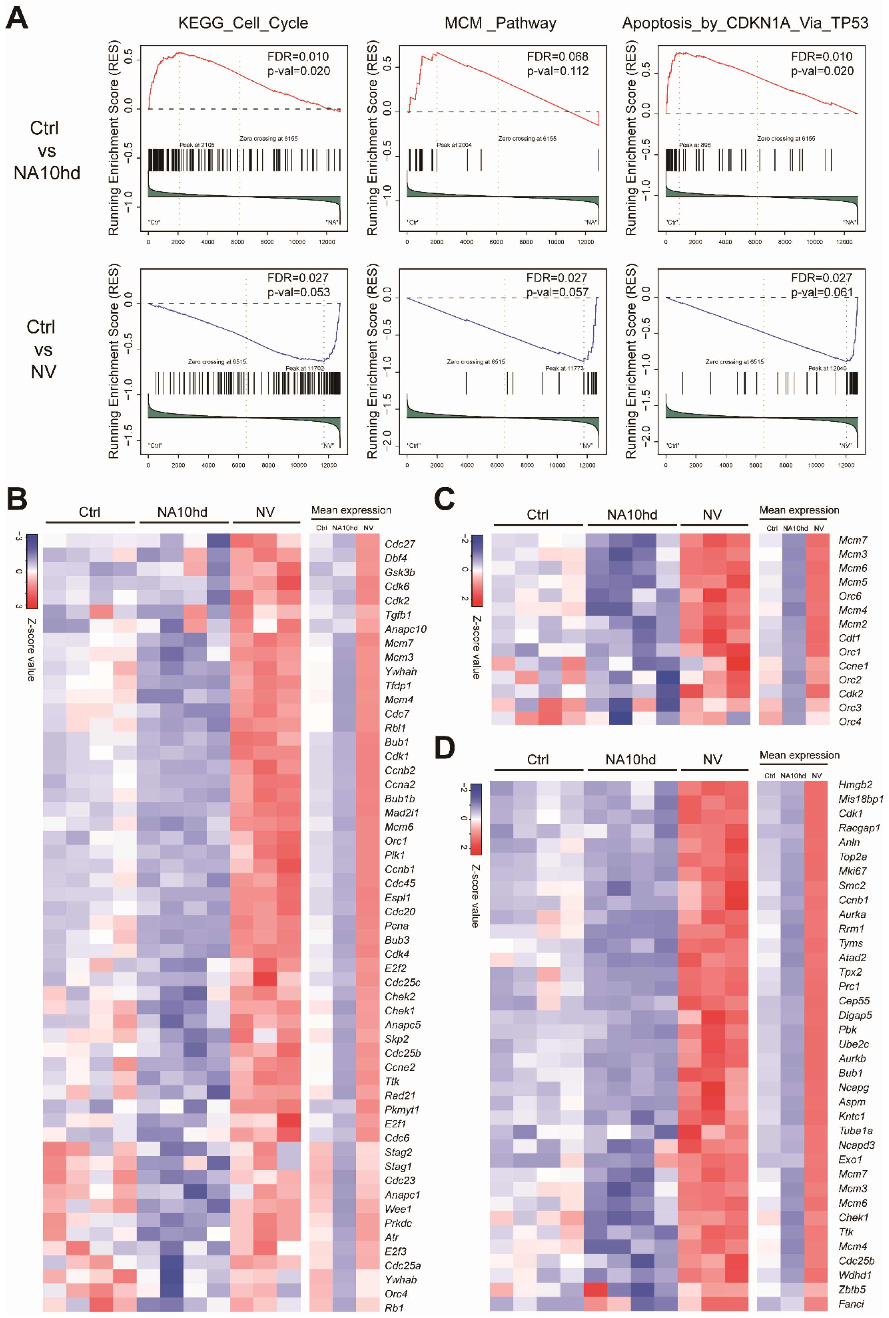 Cells 08 00951 g005 Cells 08 00951 g005