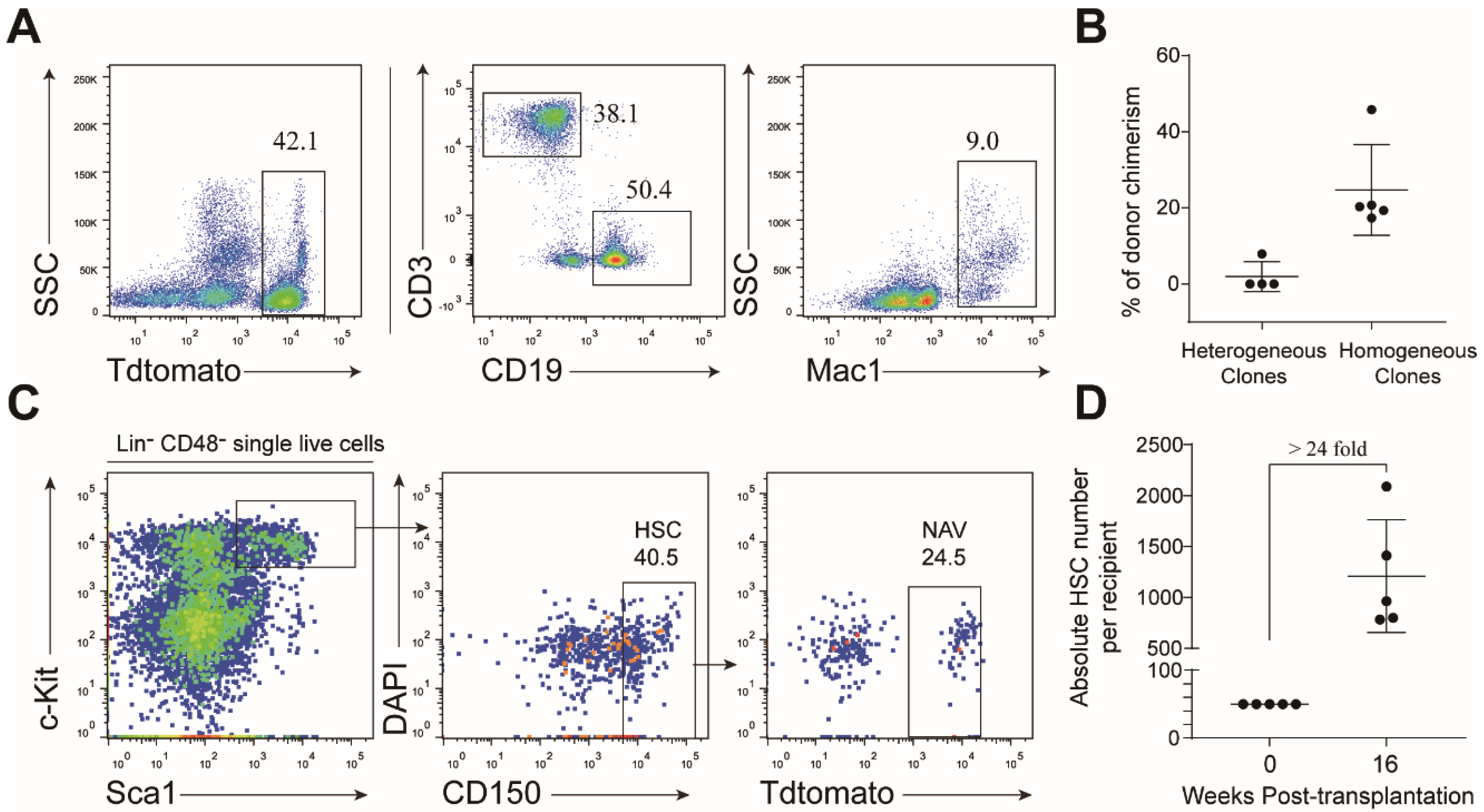 Cells 08 00951 g007 Cells 08 00951 g007