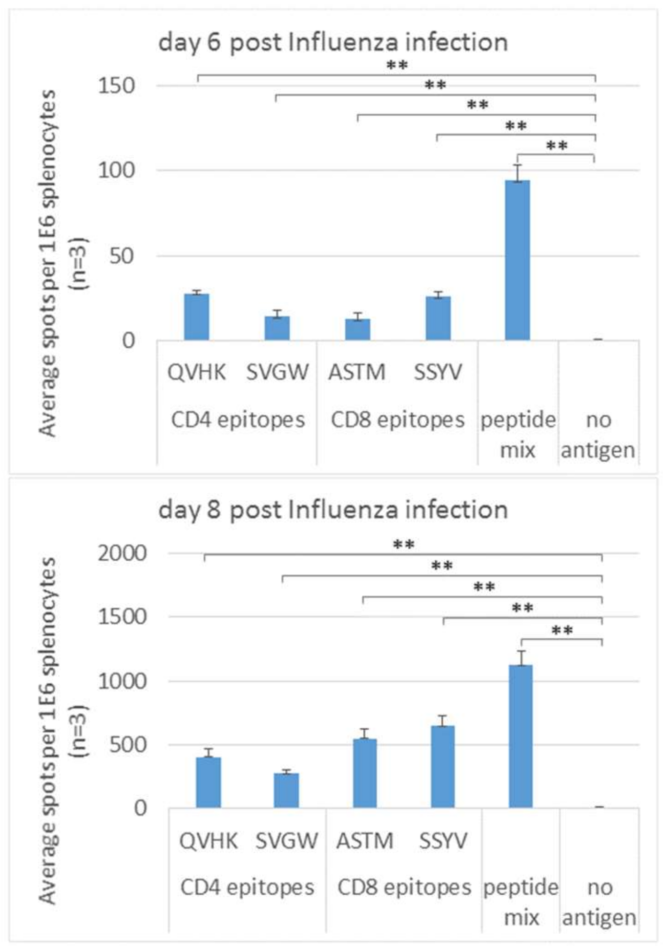 Cells 08 00952 g003 Cells 08 00952 g003