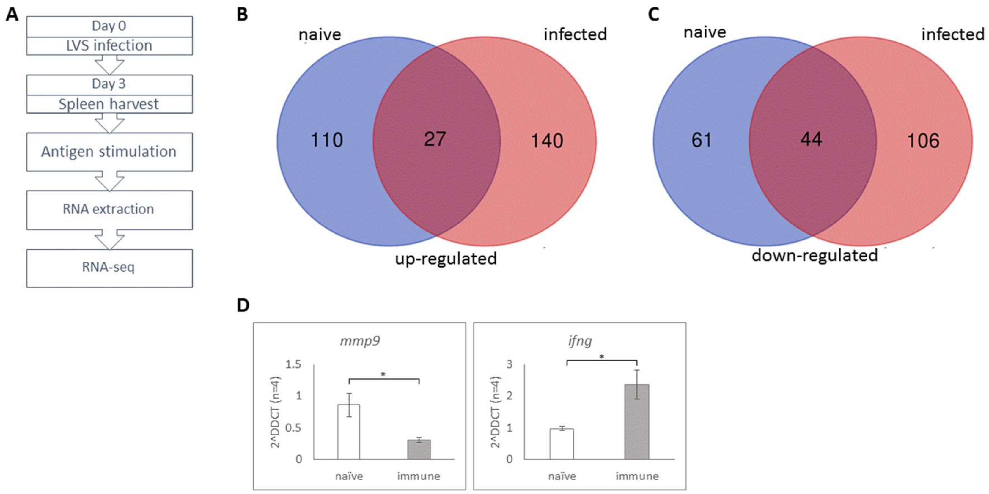 Cells 08 00952 g006 Cells 08 00952 g006