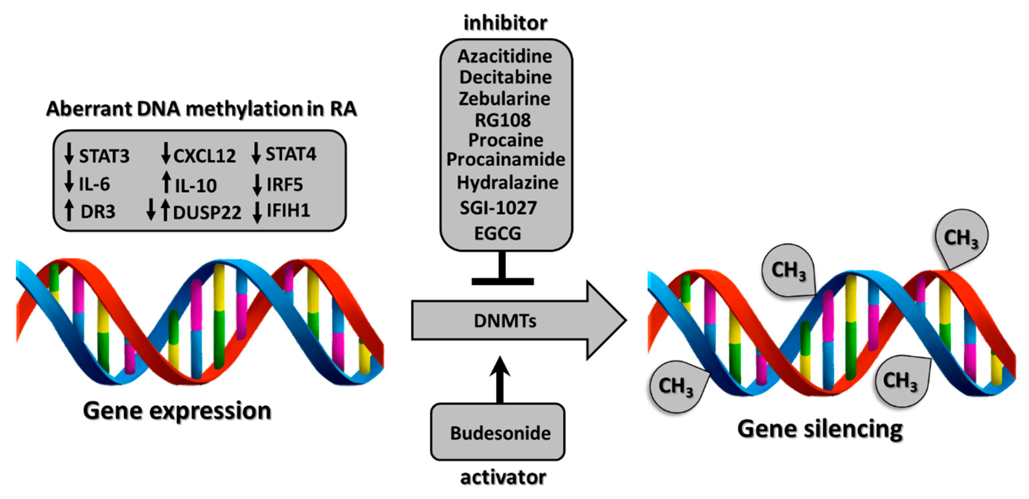 Ген DIF. Methylated DNA differentially methylated Regions. DNA reference. Картинка эпигенетика старение.