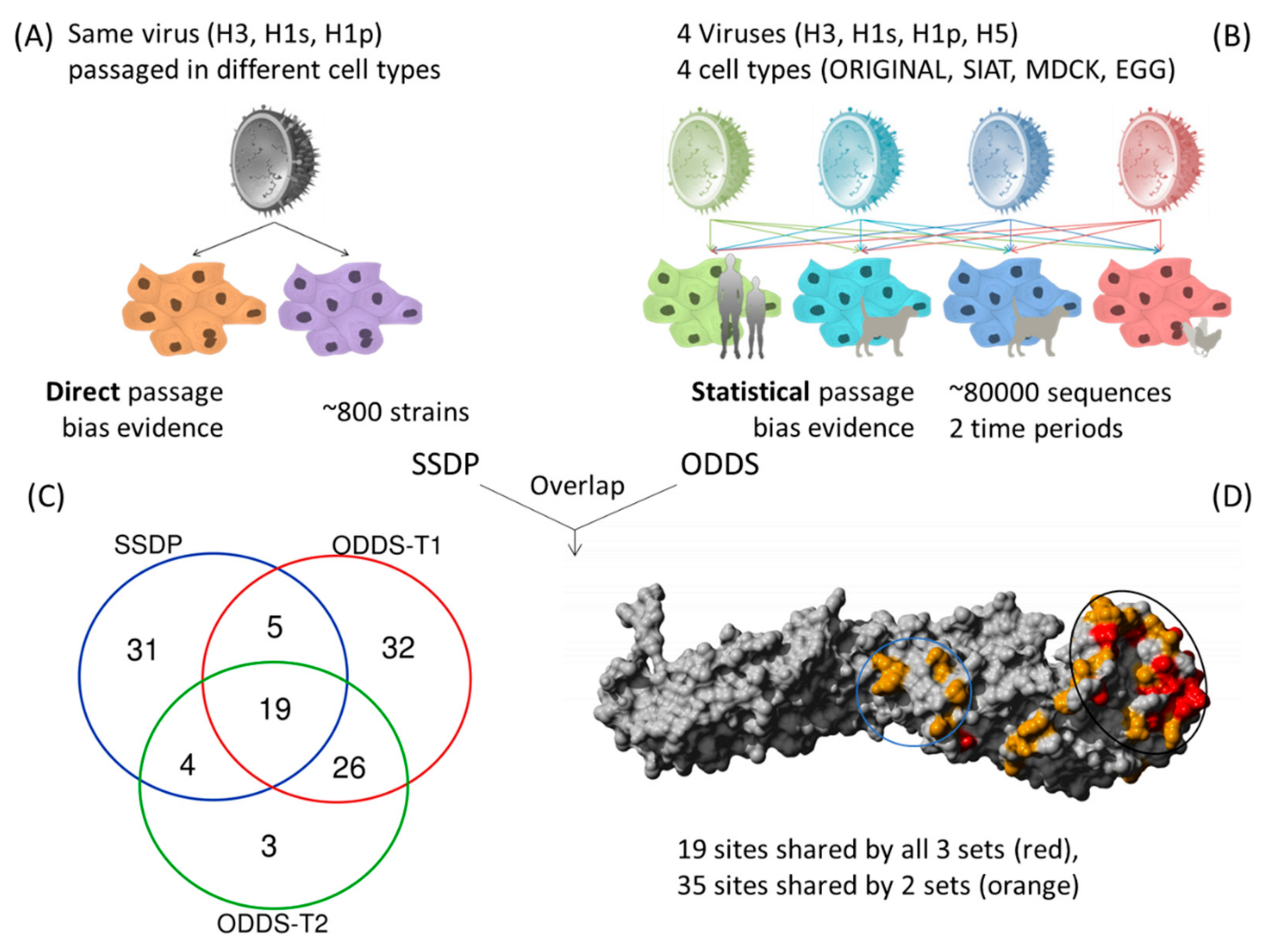 Cells 08 00958 g002
