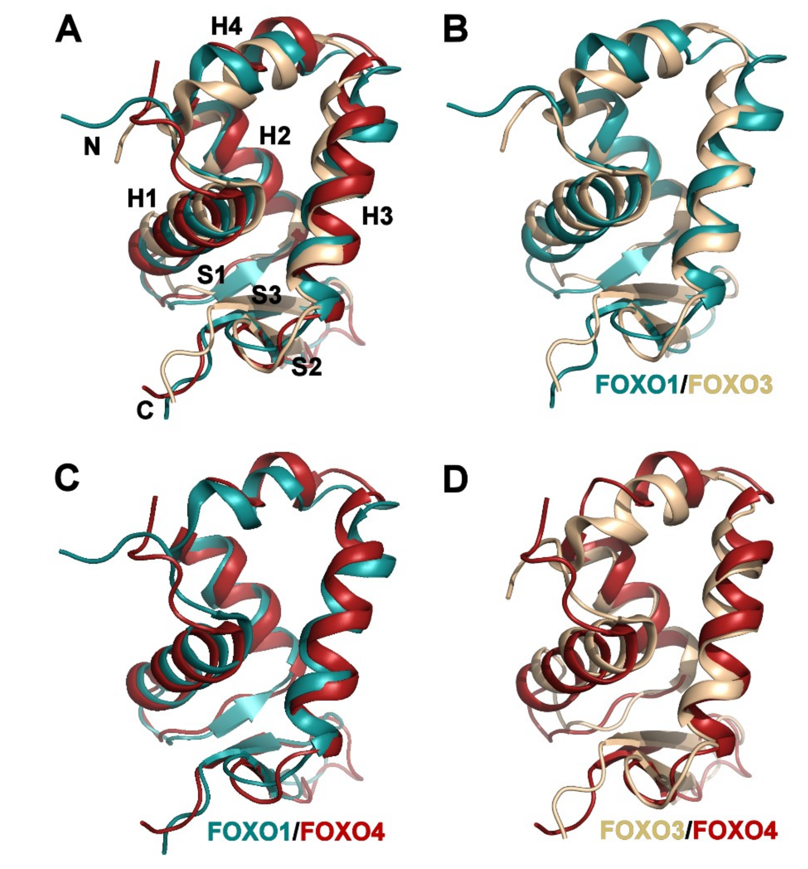 Cells 08 00966 g003