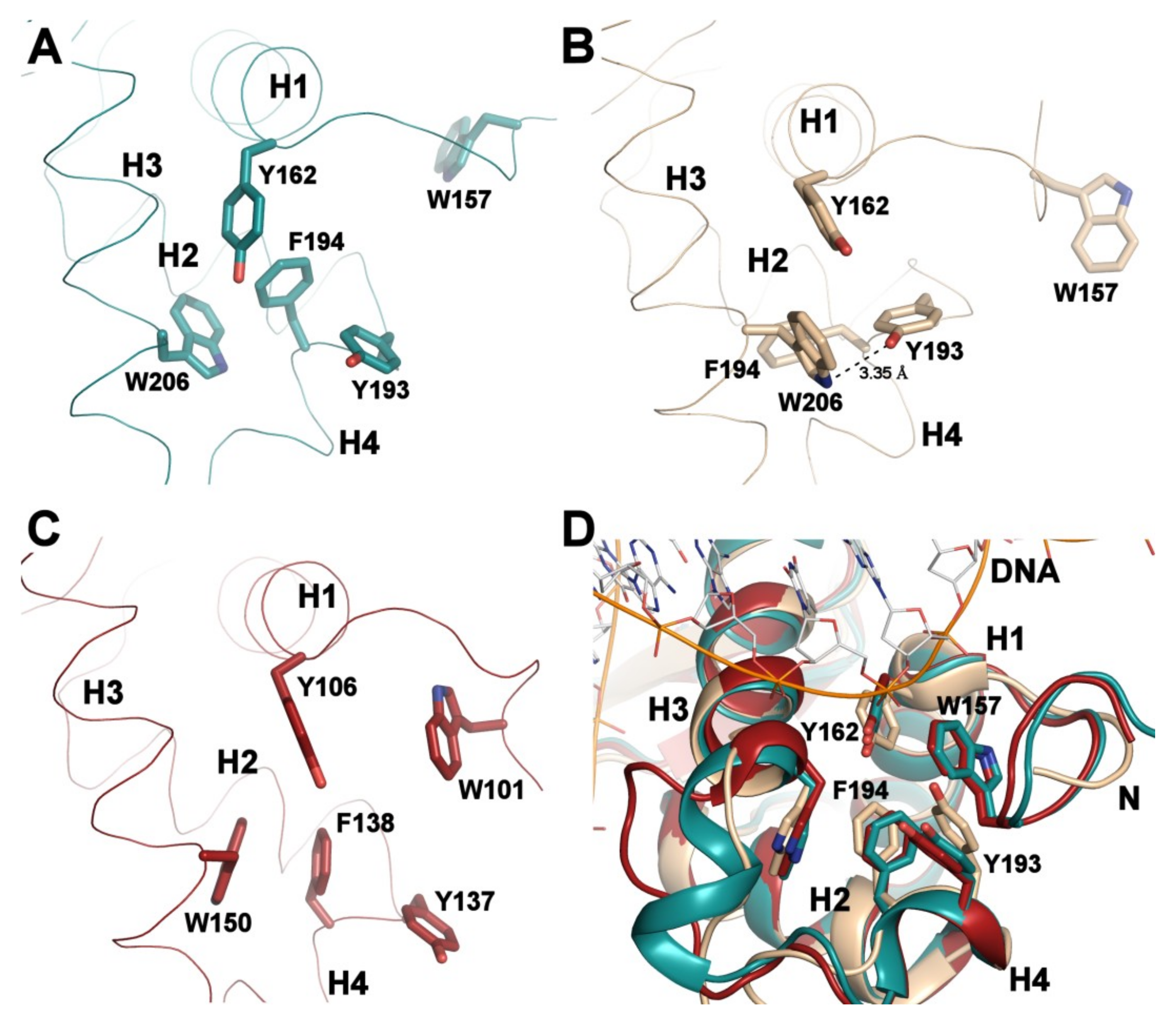 Cells 08 00966 g004