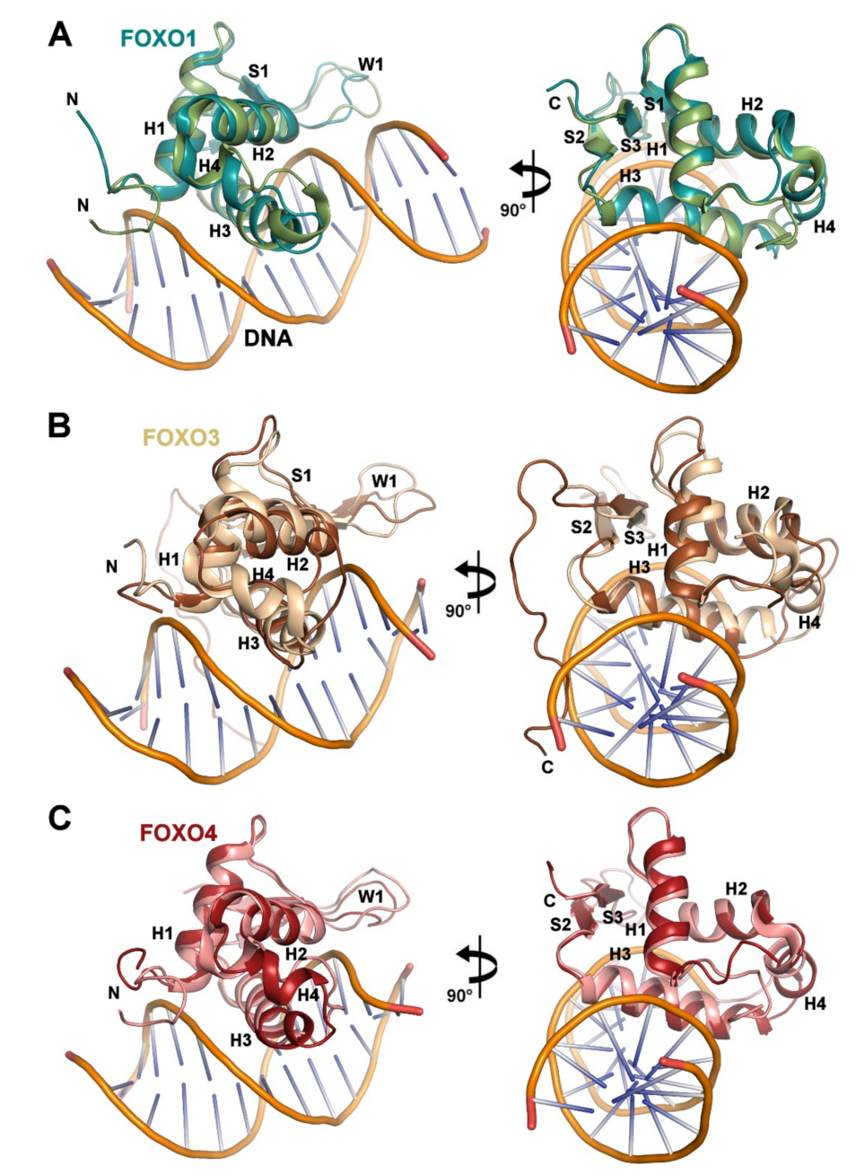 Cells 08 00966 g006