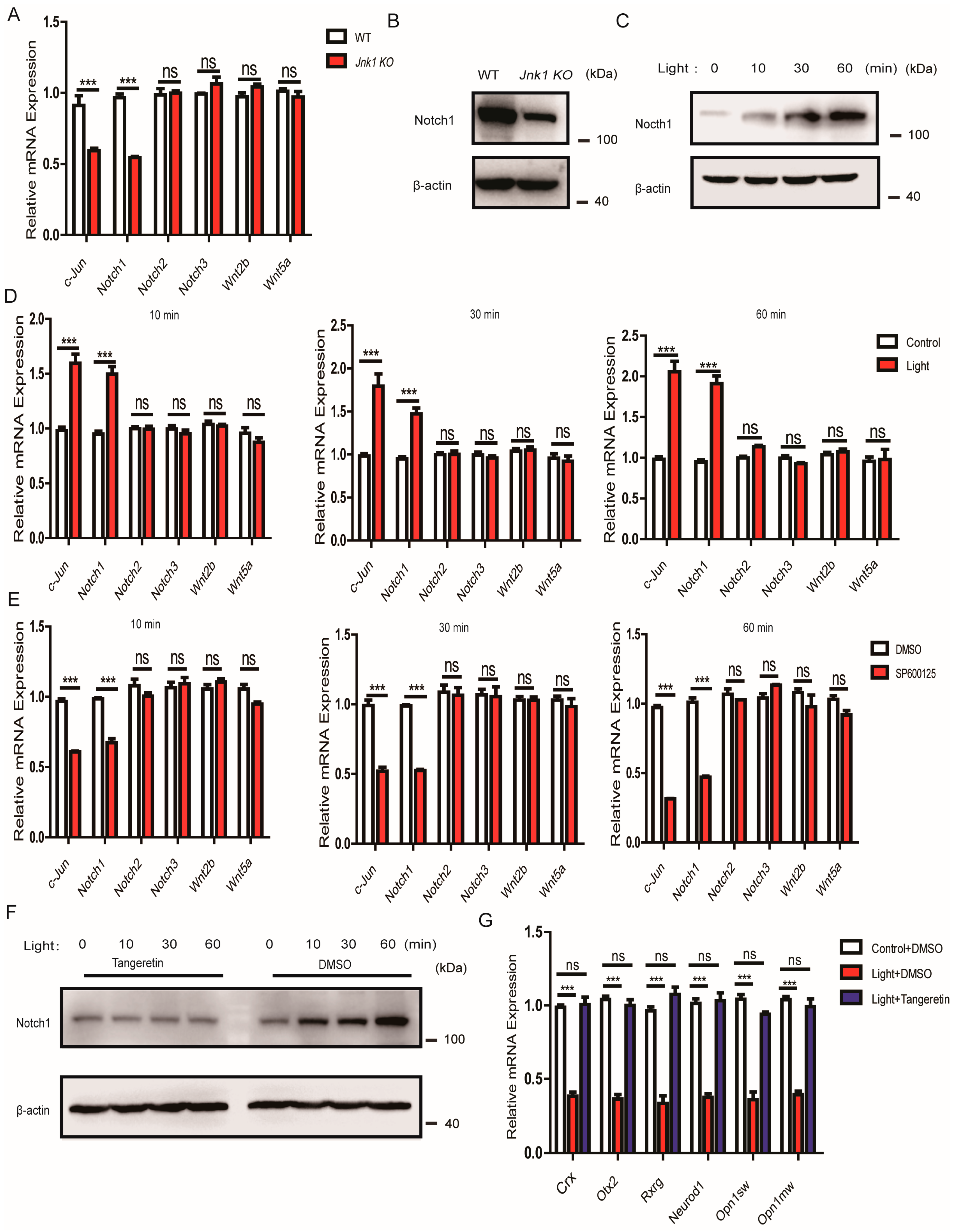 Cells 08 00970 g006 Cells 08 00970 g006