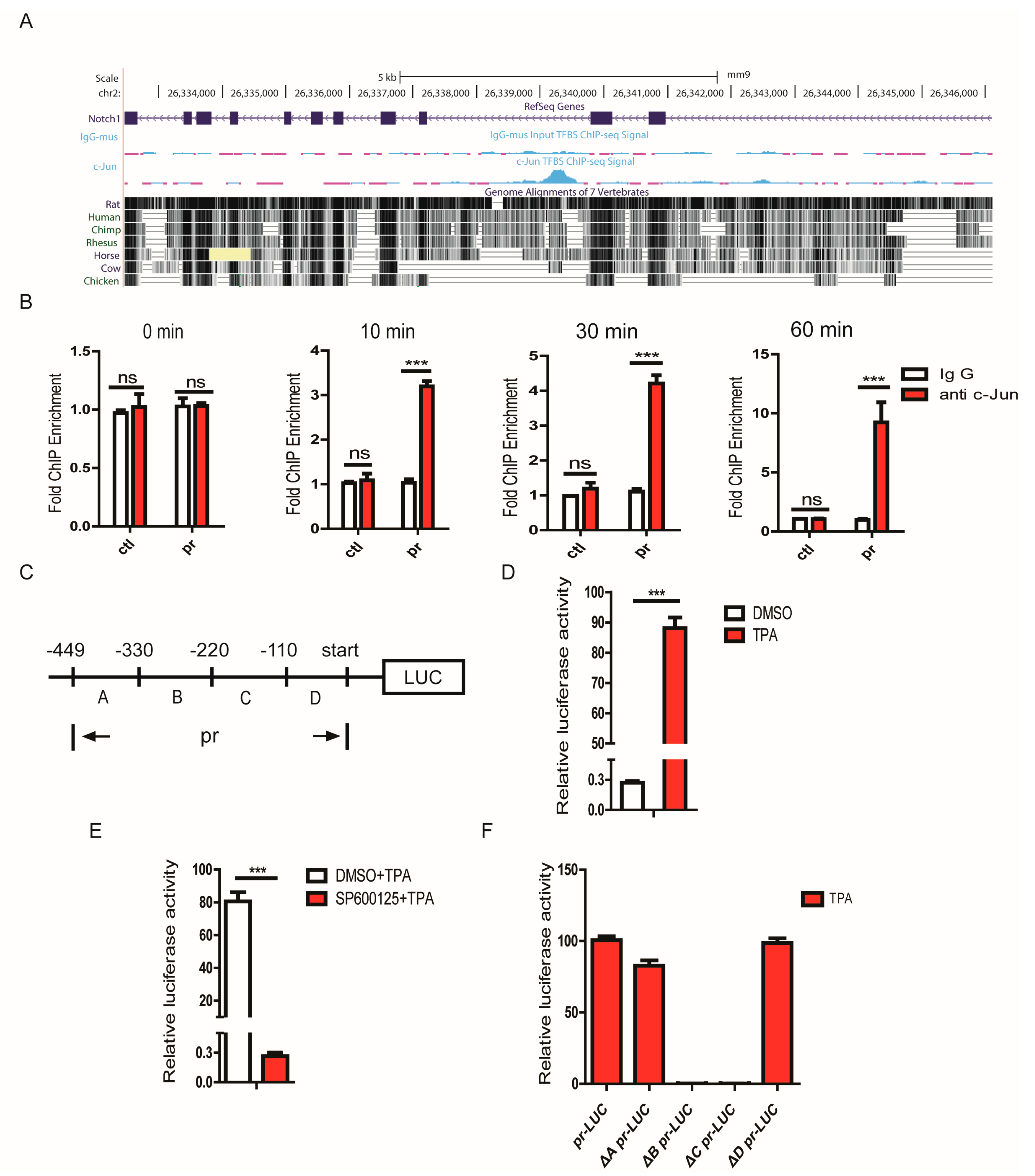 Cells 08 00970 g007 Cells 08 00970 g007
