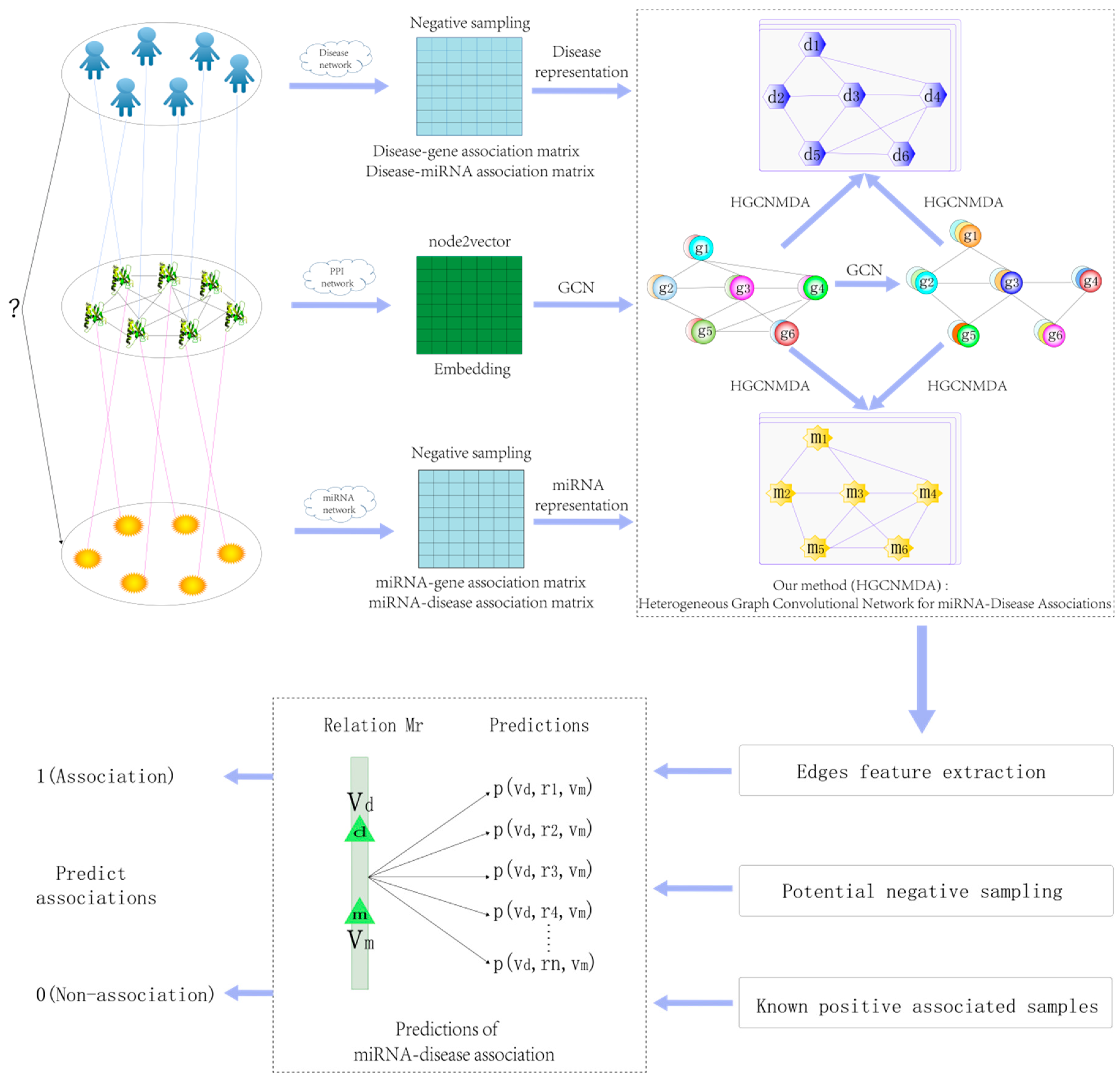 A Novel Computational Model for Predicting microRNA–Disease 