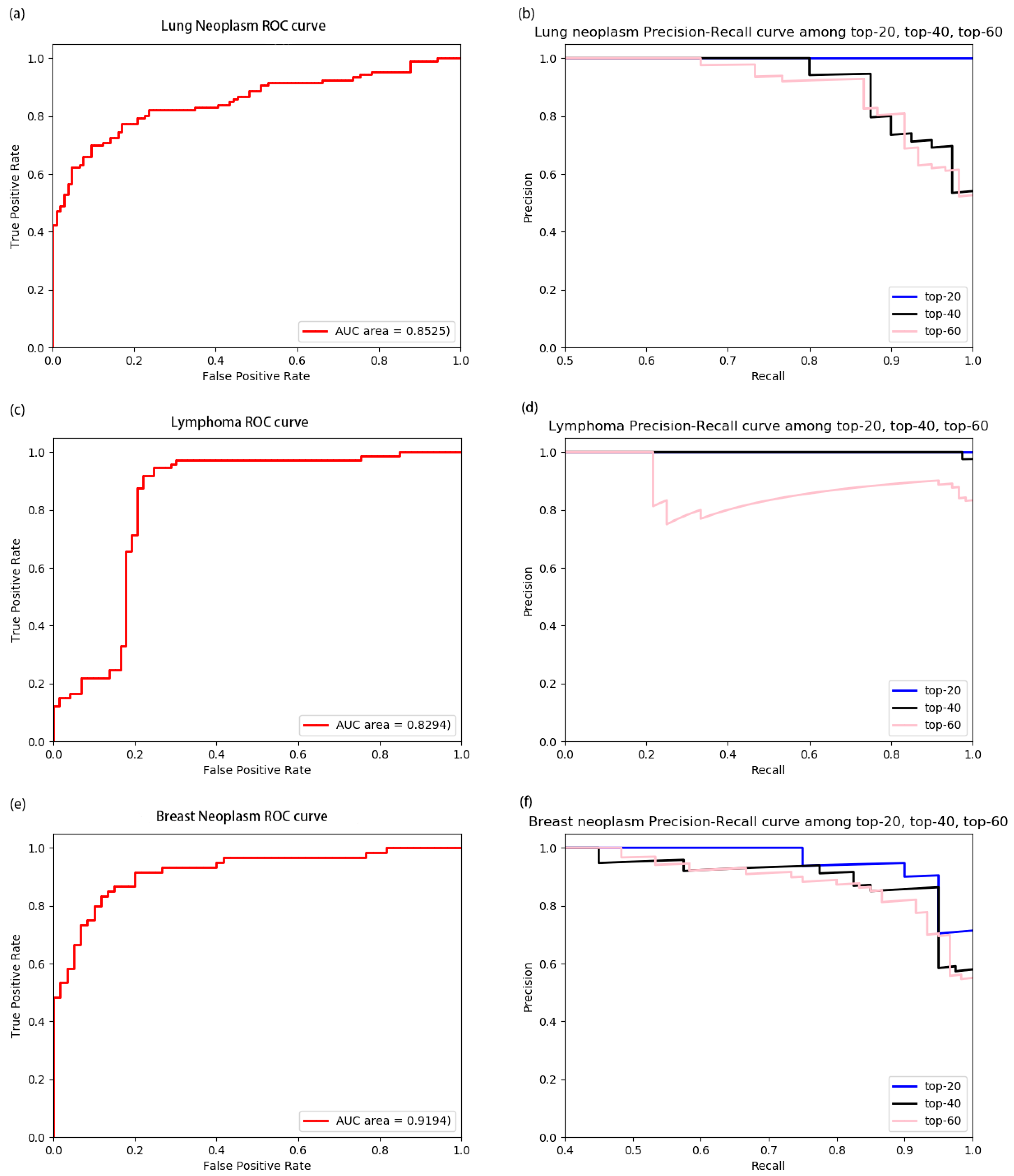 Cells 08 00977 g006 Cells 08 00977 g006