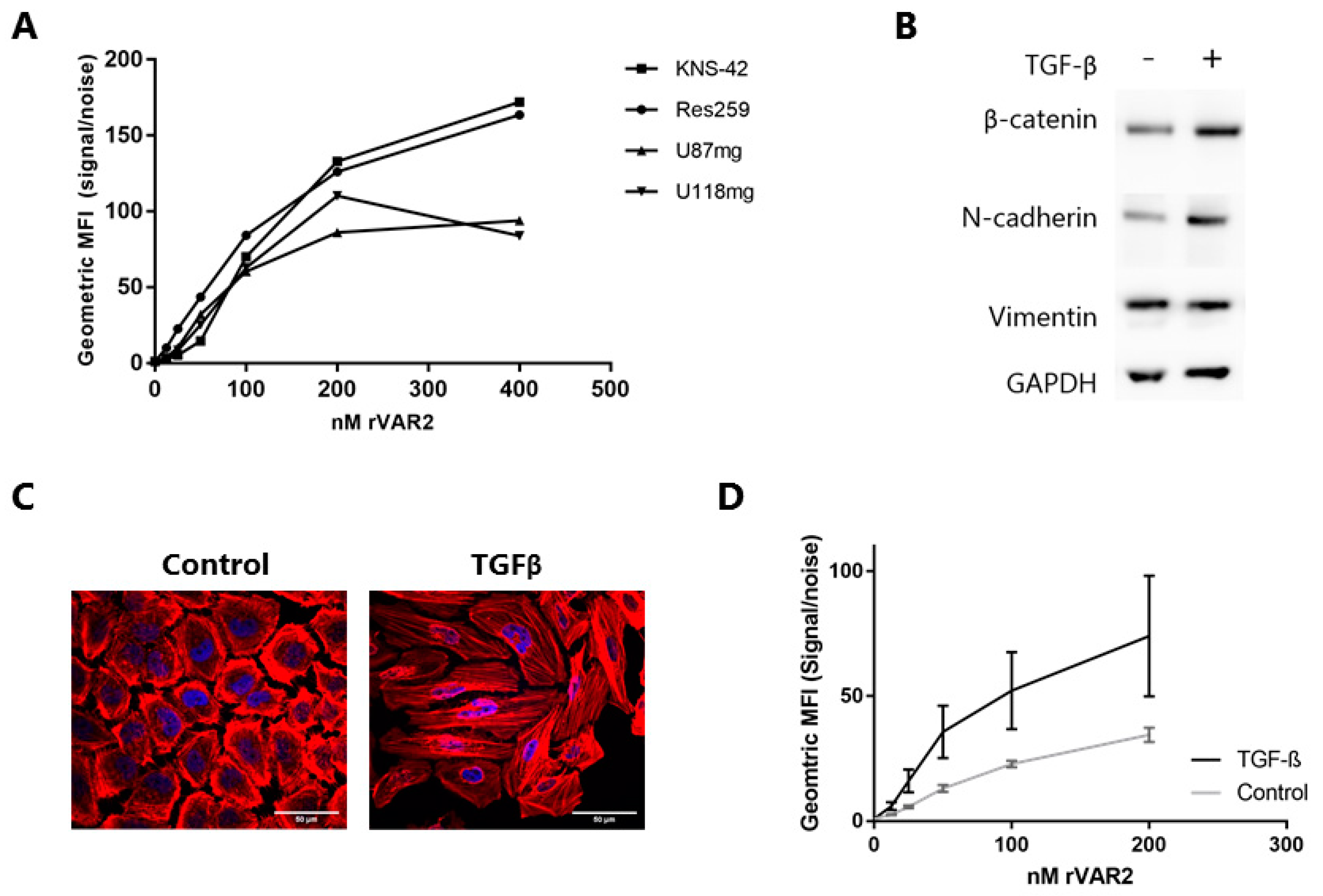 Cells 08 00998 g001 Cells 08 00998 g001