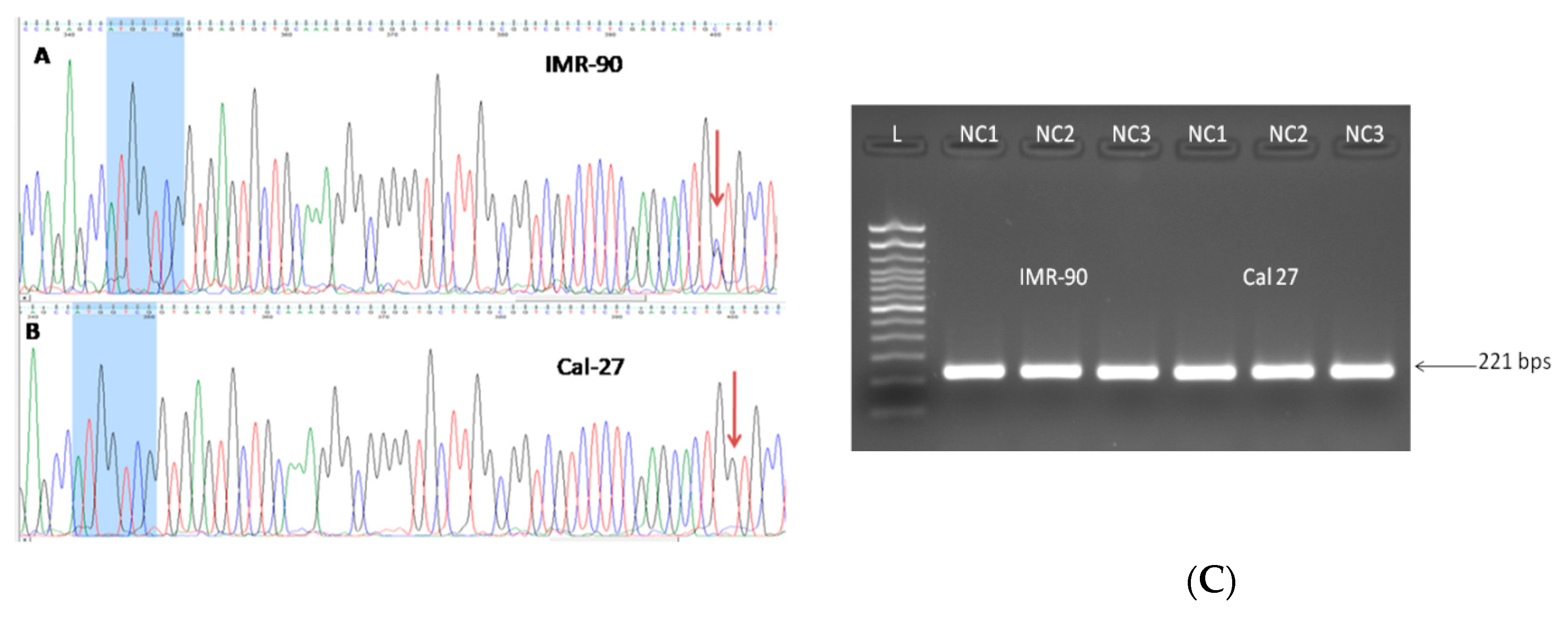 Cells 08 01001 g007 Cells 08 01001 g007