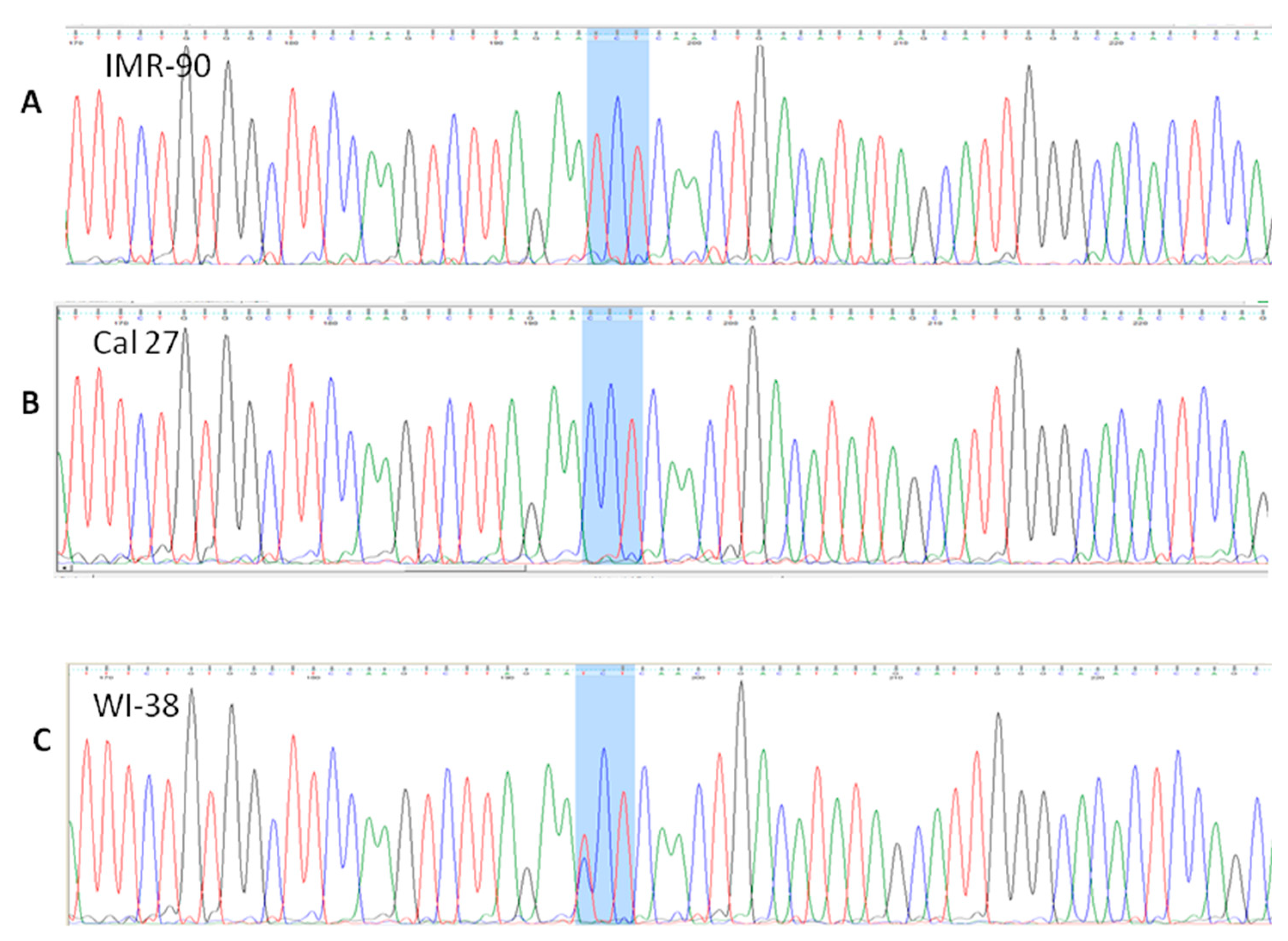 Cells 08 01001 g009 Cells 08 01001 g009