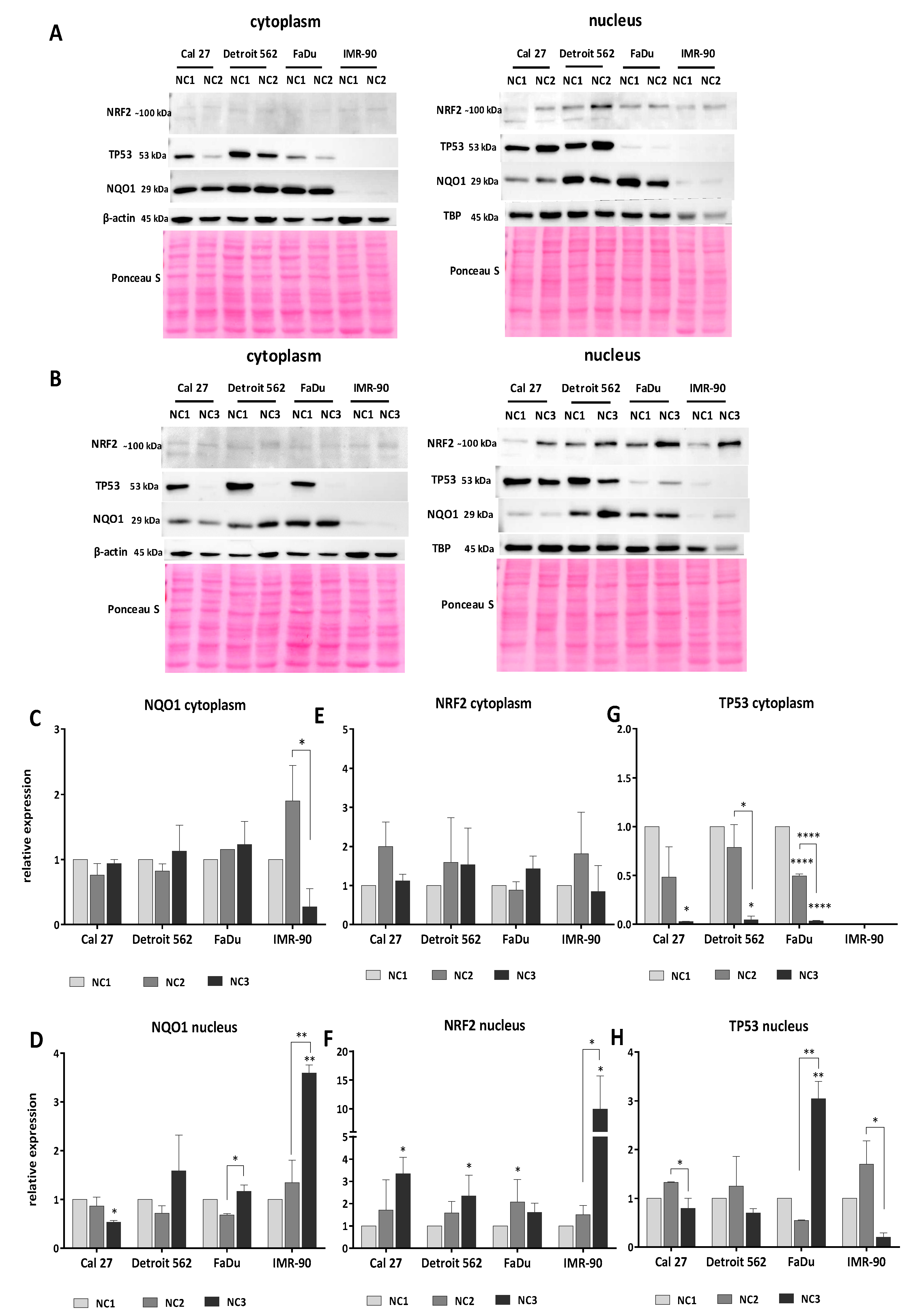 Cells 08 01001 g010 Cells 08 01001 g010