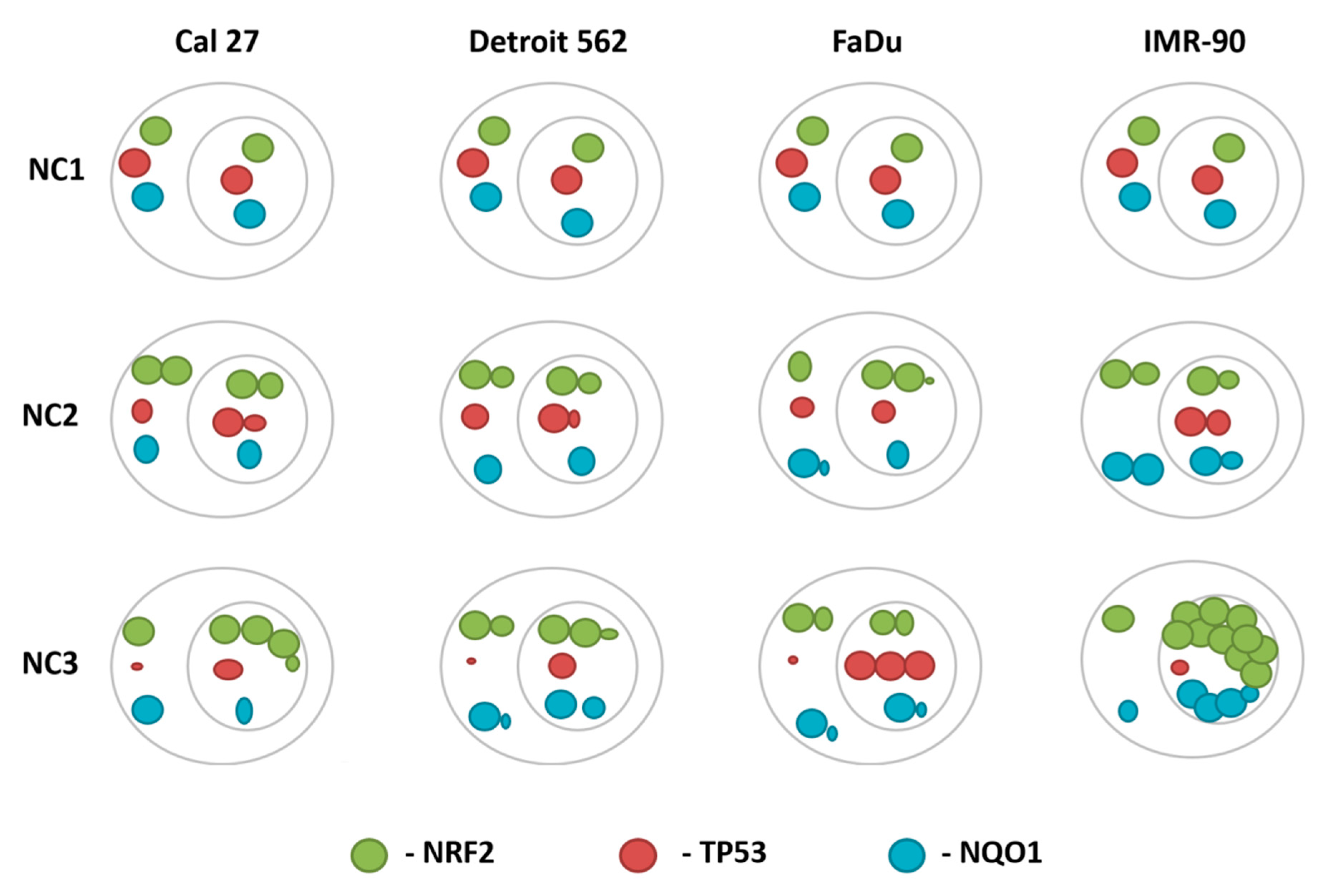 Cells 08 01001 g011 Cells 08 01001 g011