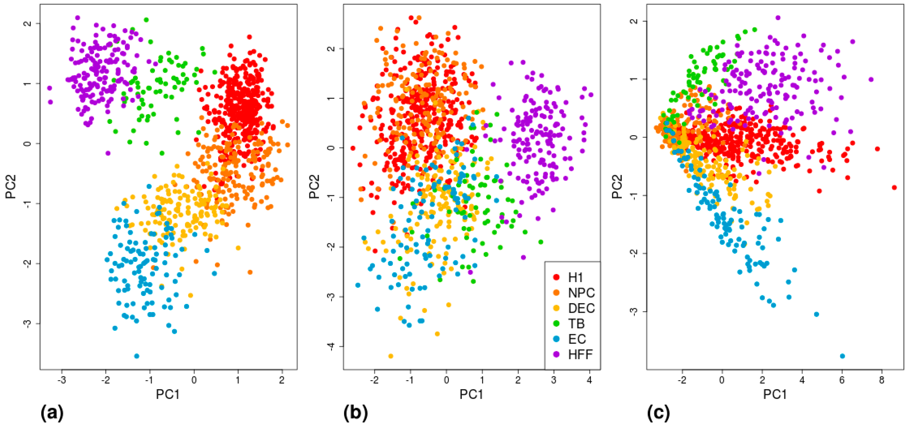 Cells 08 01004 g006 Cells 08 01004 g006