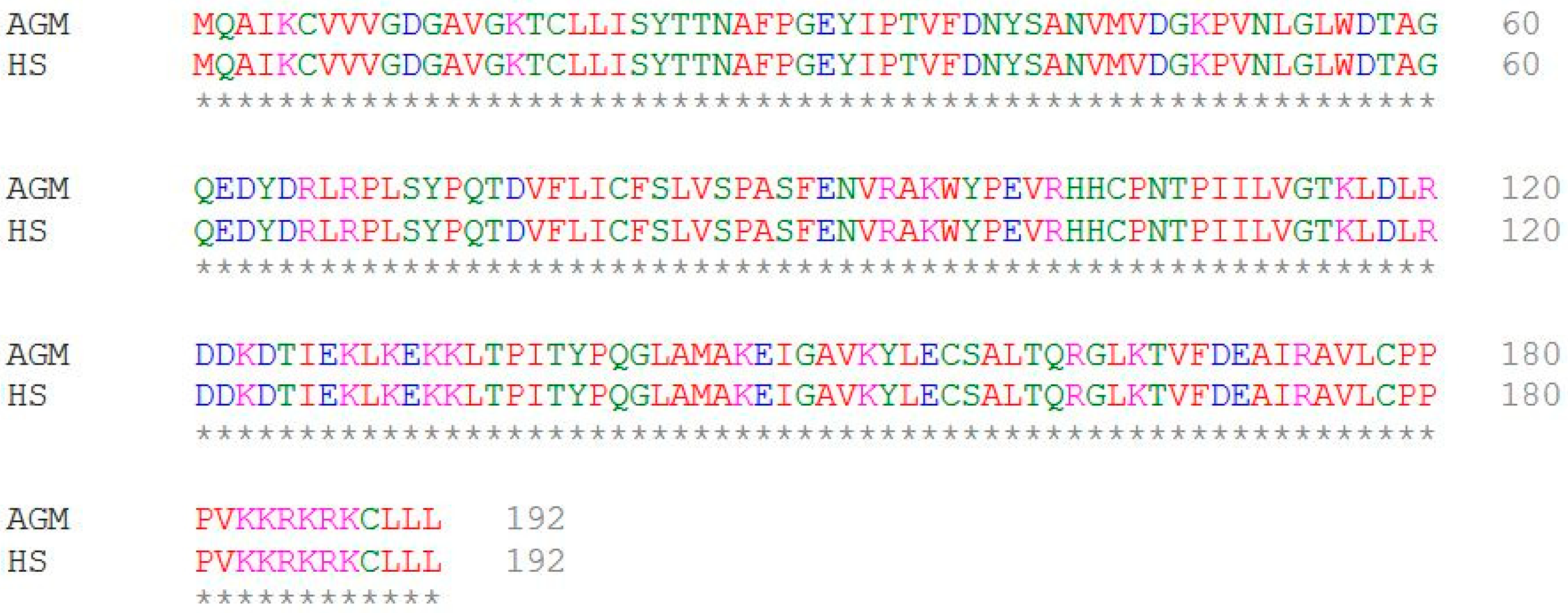 Cells 08 01006 g007 Cells 08 01006 g007