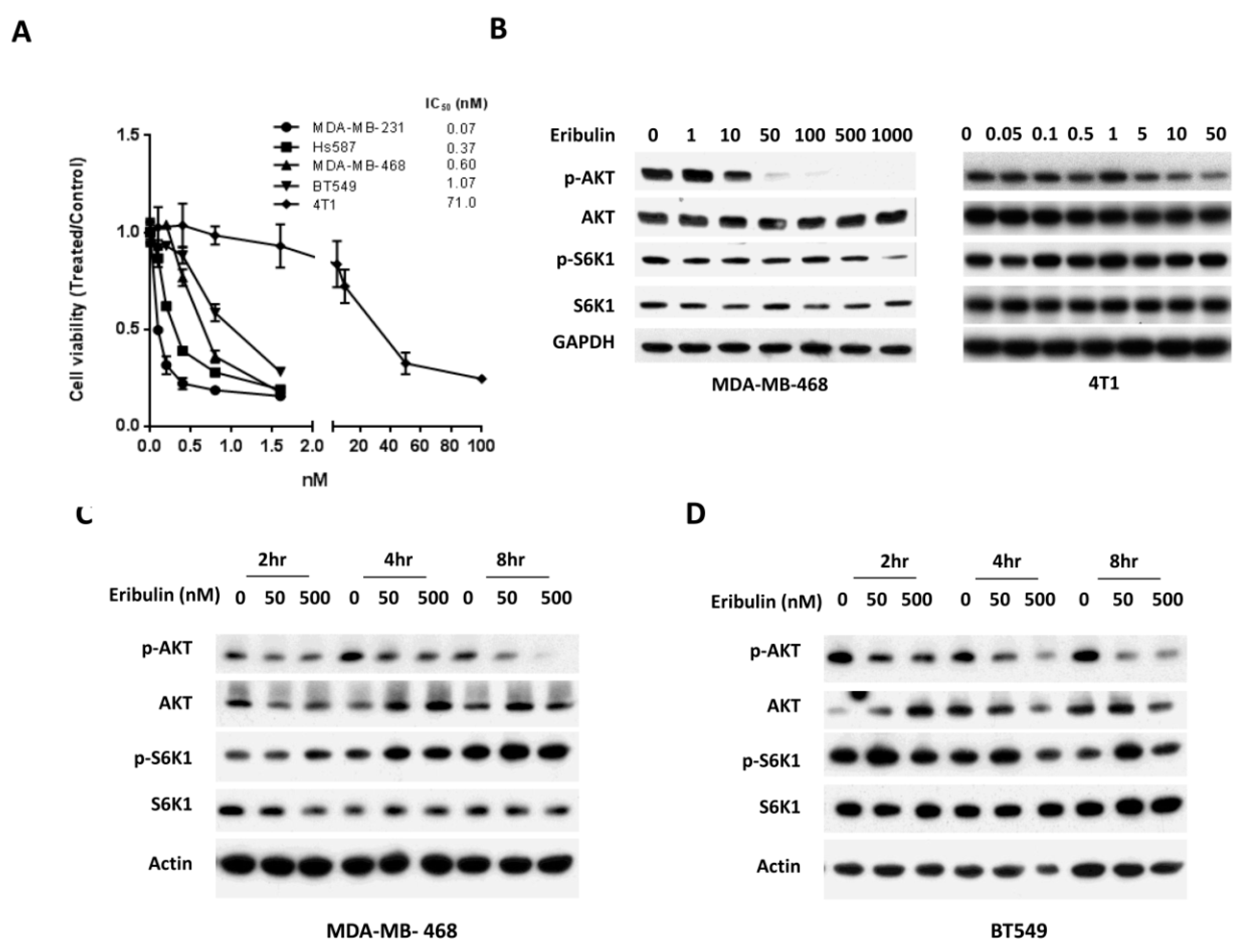 Cells 08 01010 g001 Cells 08 01010 g001