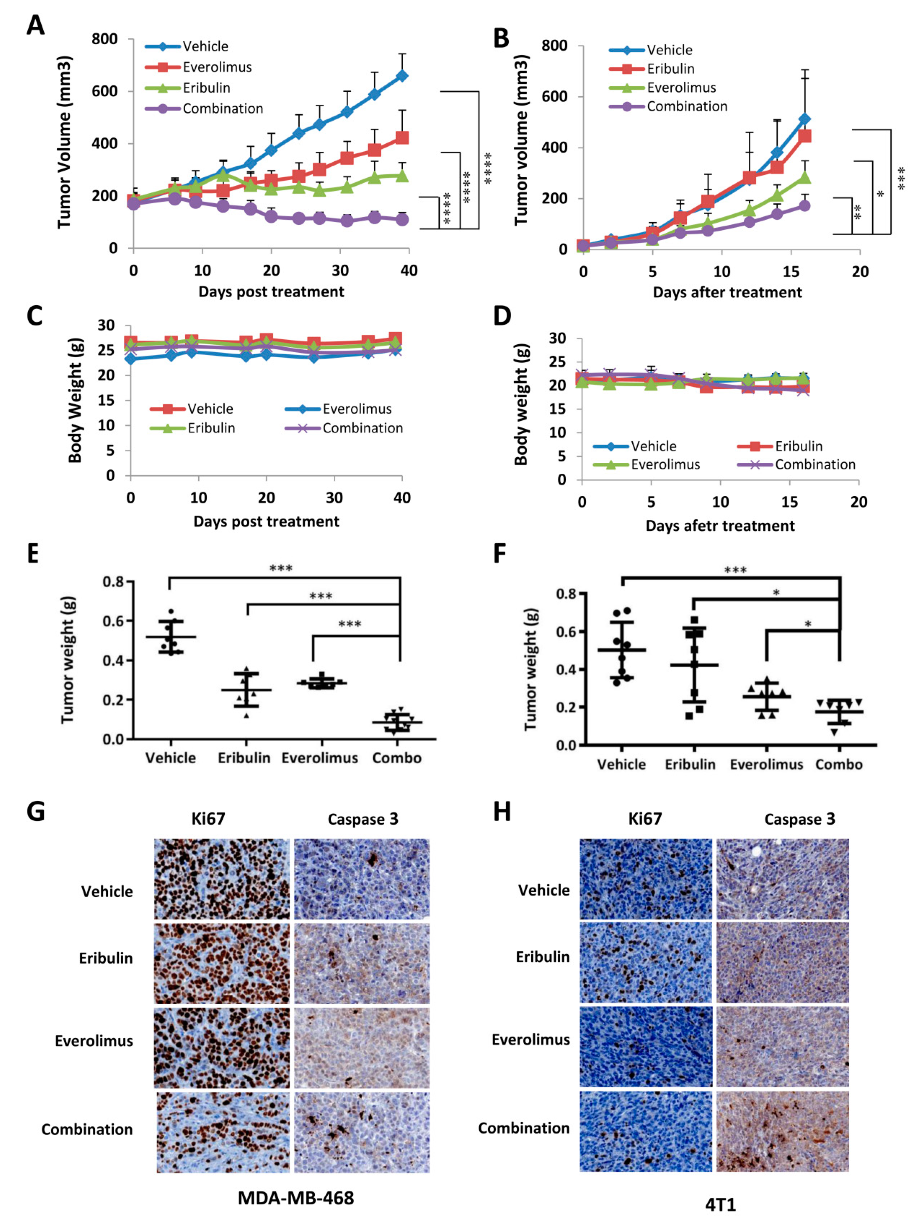 Cells 08 01010 g006 Cells 08 01010 g006